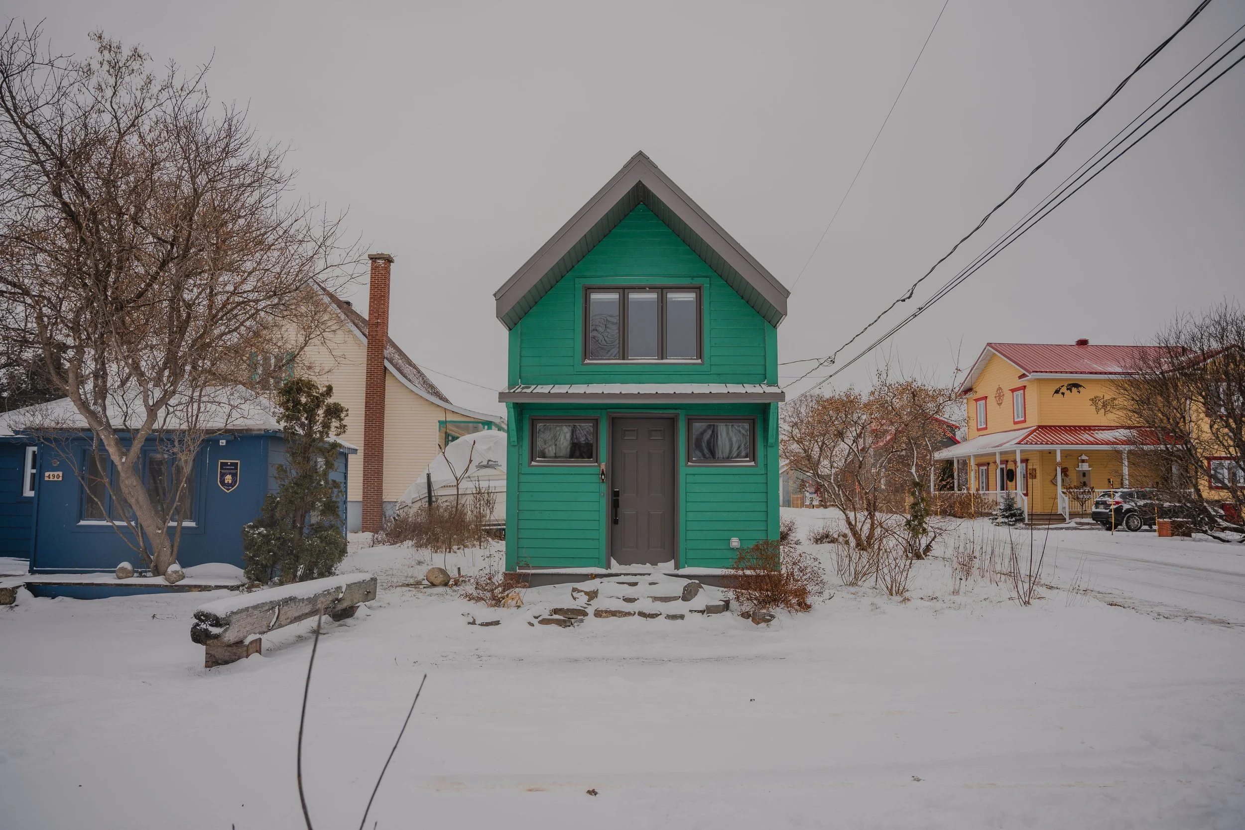 onvasepromener_chalet_cabineverte_chien_québec+(3).jpg