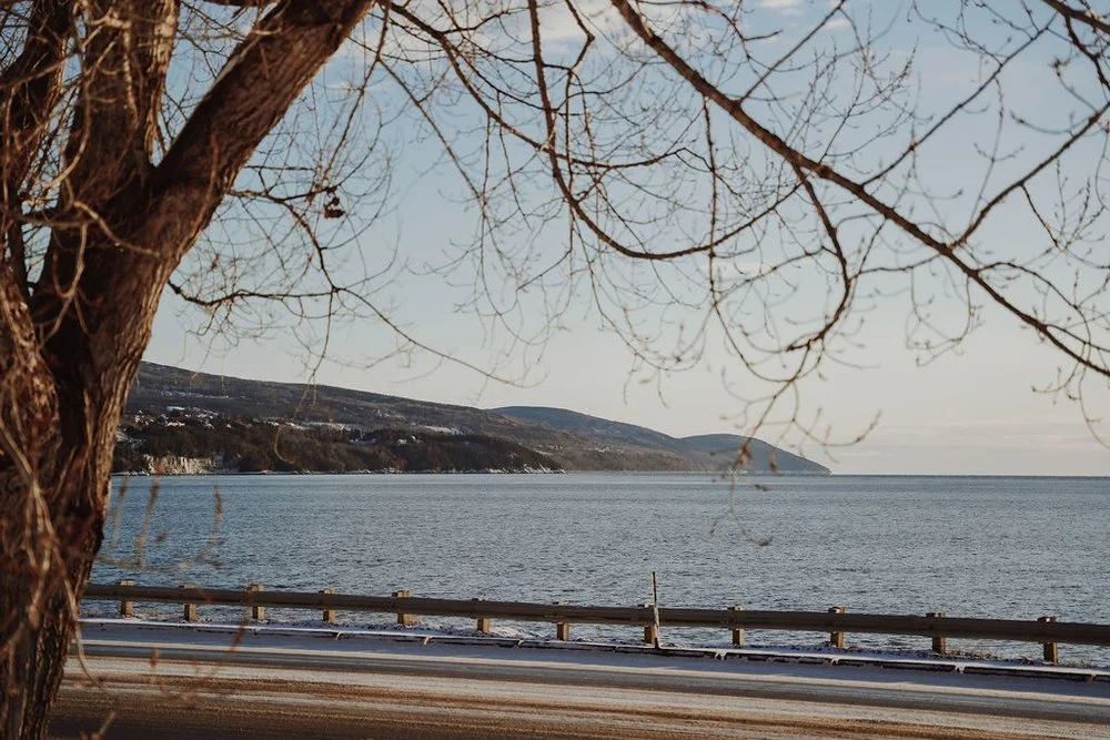 auberge+pinsons+des+rives_onvasepromener_chien_hebergement_charlevoix_ext+(13).jpg