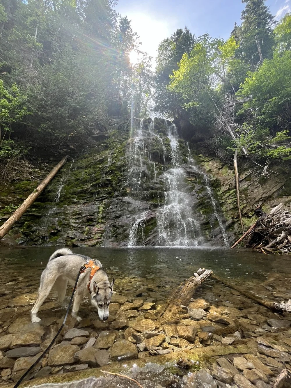 Sentier+La+Chute+1.jpeg
