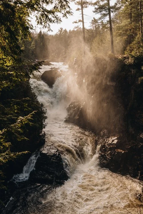 chute+dorwin_lanaudière_chien_sentier_onvasepromener+(15).jpg