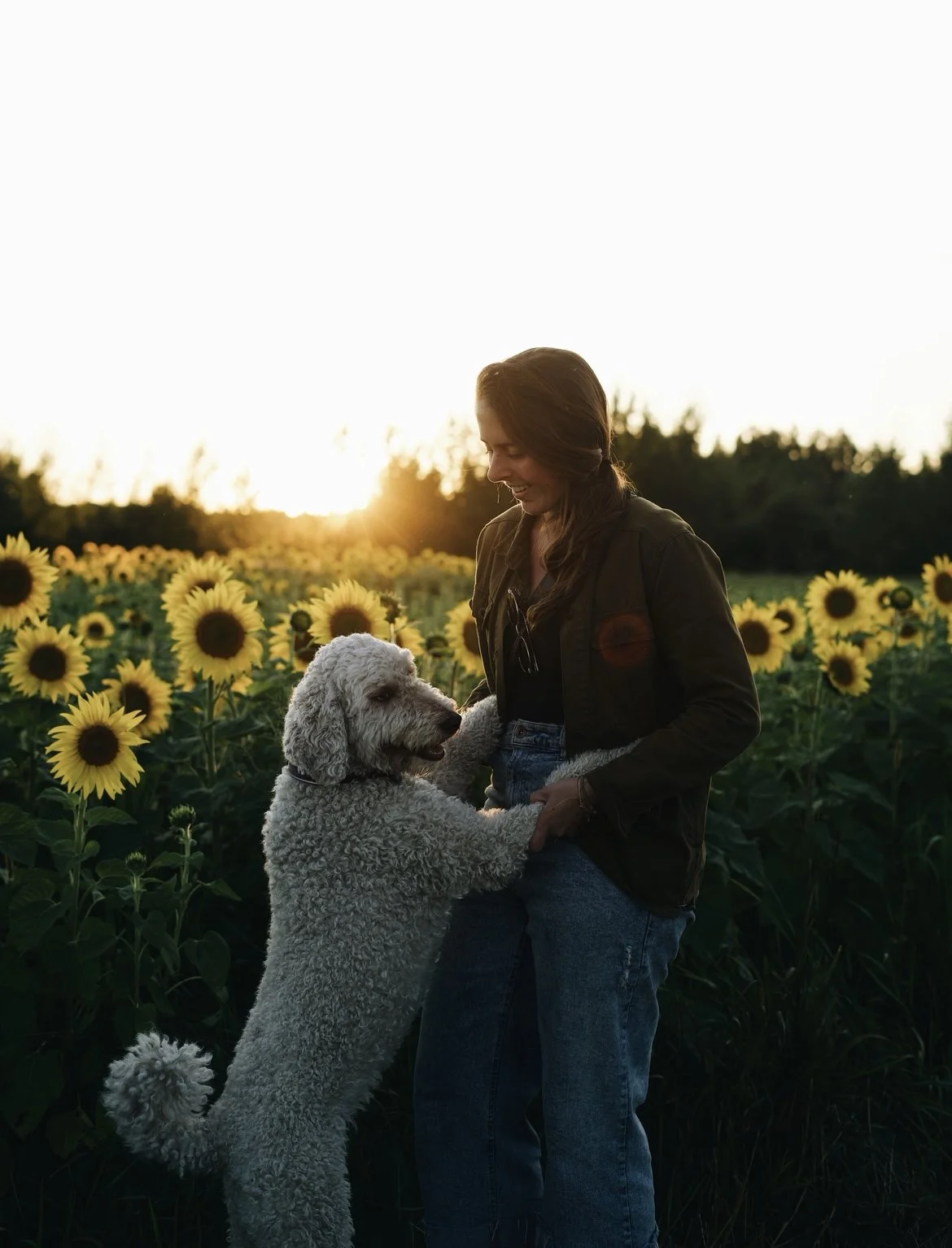 passion lavande, chien, onvasepromener (16).jpeg