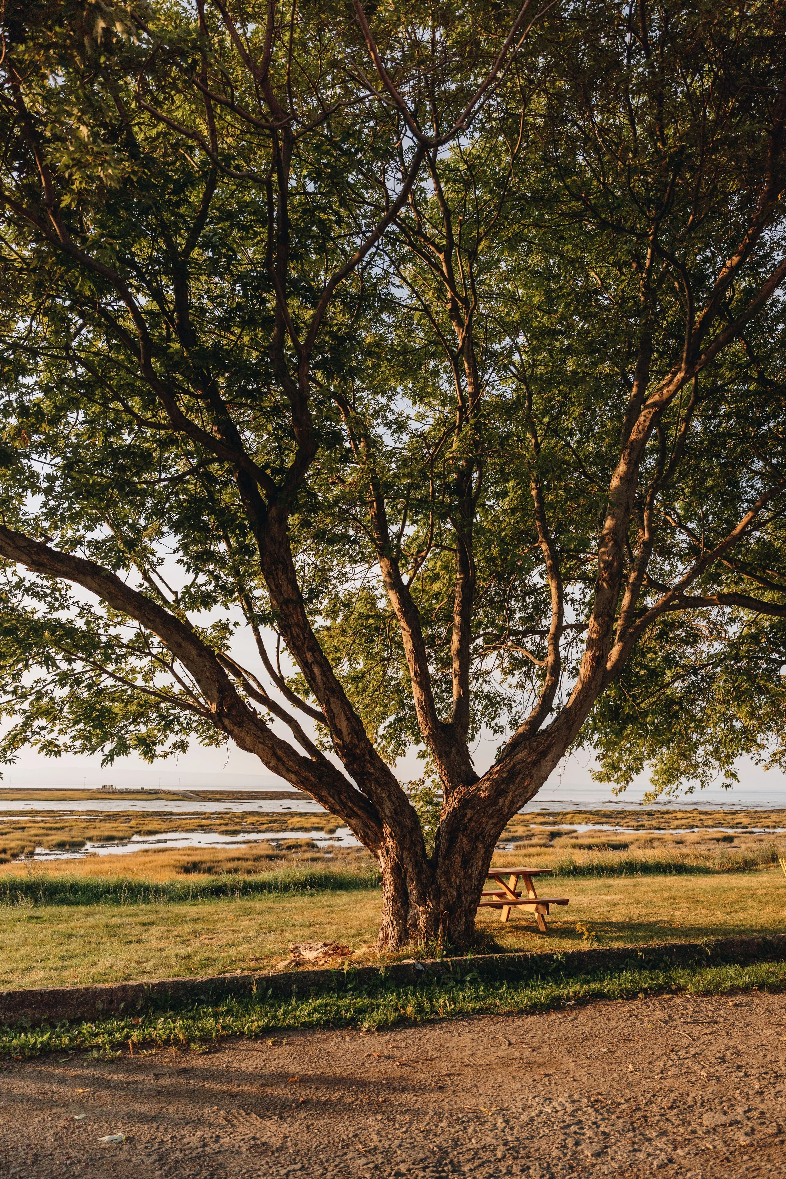 Halte Église 3.jpg