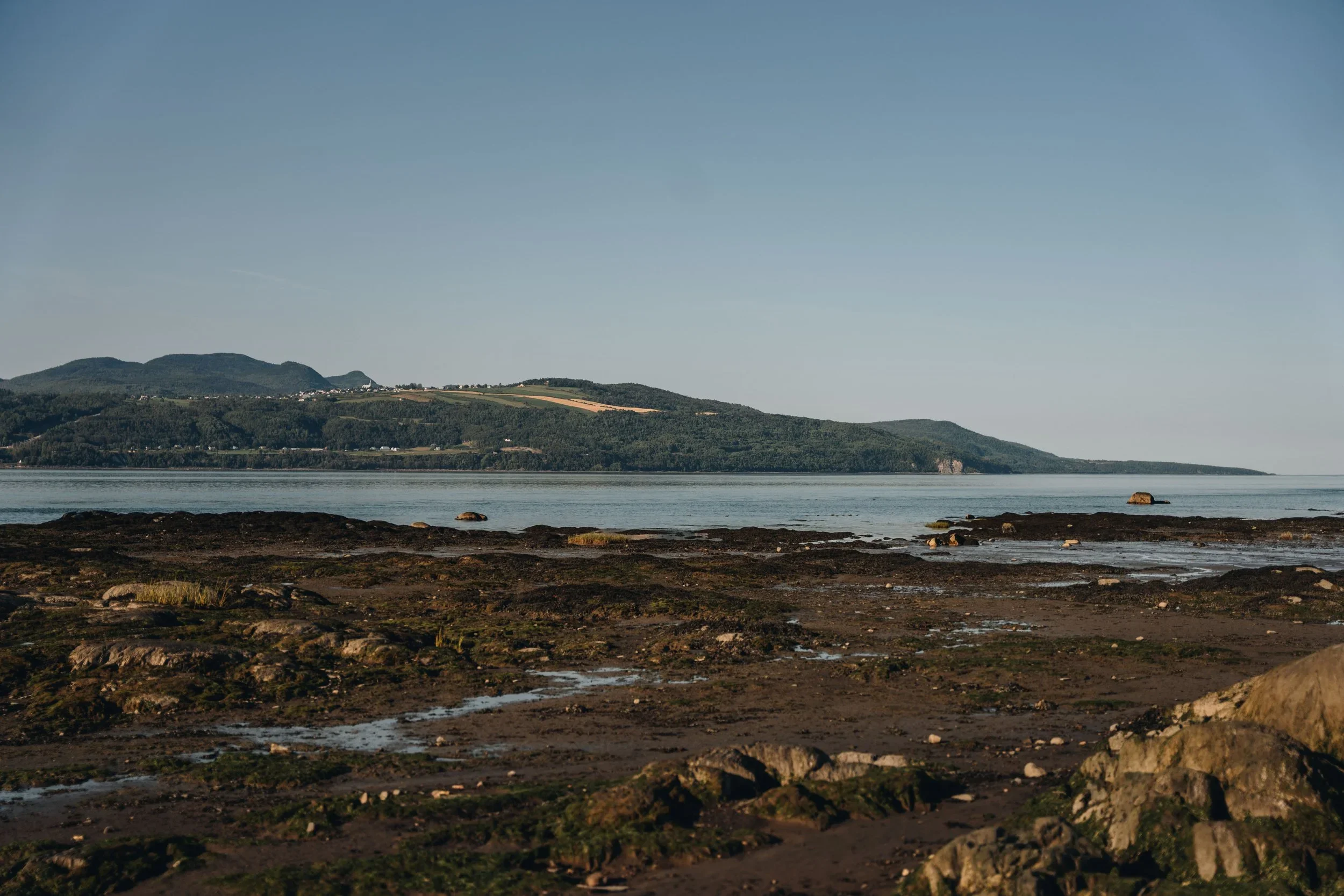 L'Isle-aux-Coudres avec son chien : une destination dog-friendly à découvrir