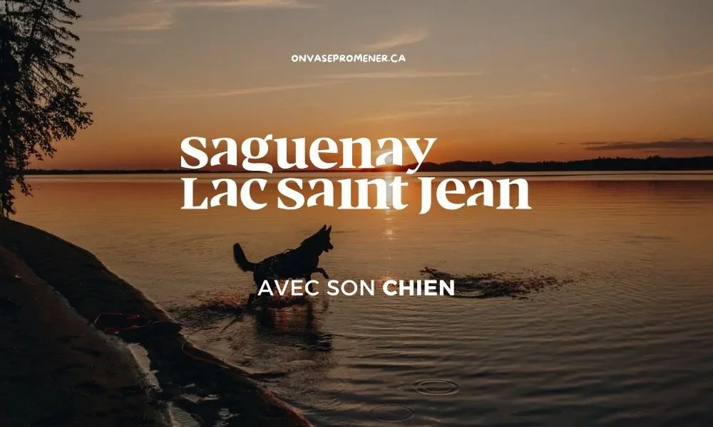 Séjour+au+Saguenay–Lac-Saint-Jean+avec+votre+chien+–+Randonnées,+plages+et+découvertes+_+On+va+se+promener.webp