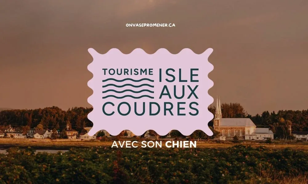 Découverte+de+l’Isle-aux-Coudres+avec+votre+chien+–+Séjour+nature+et+bord+de+fleuve+_+On+va+se+promener.webp