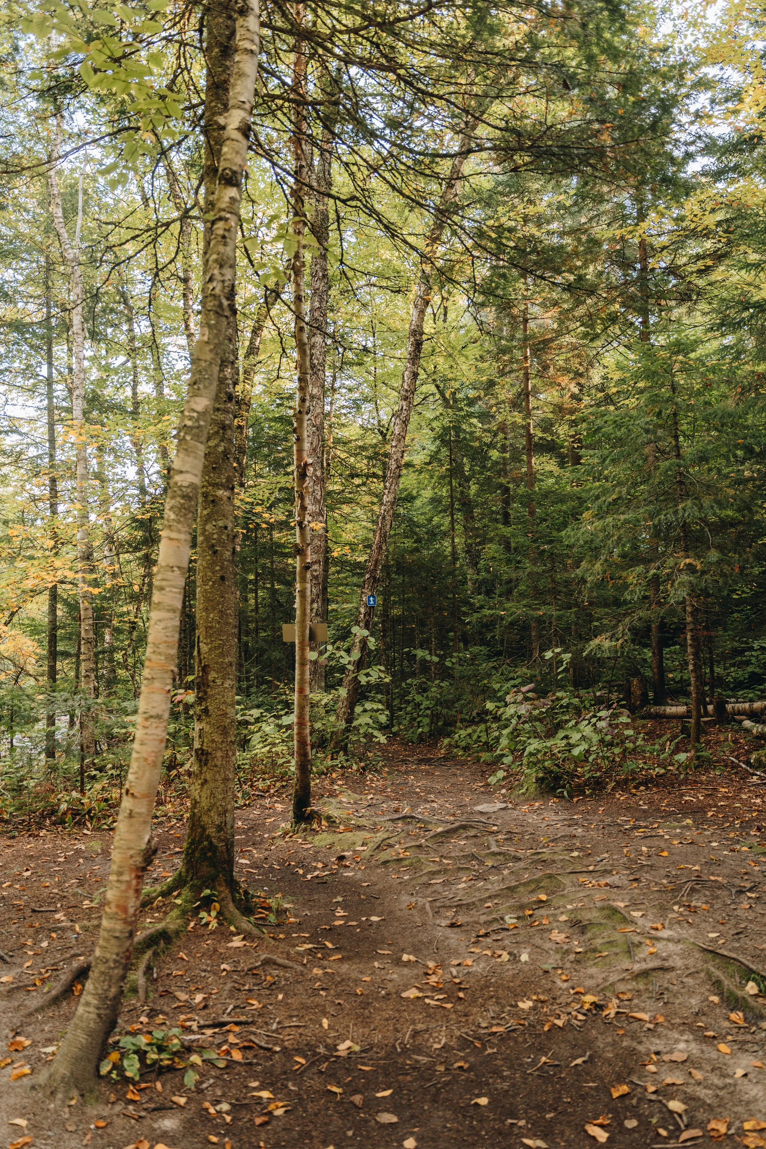 refuge des passerelles massif du sud onvasepromener114.jpg