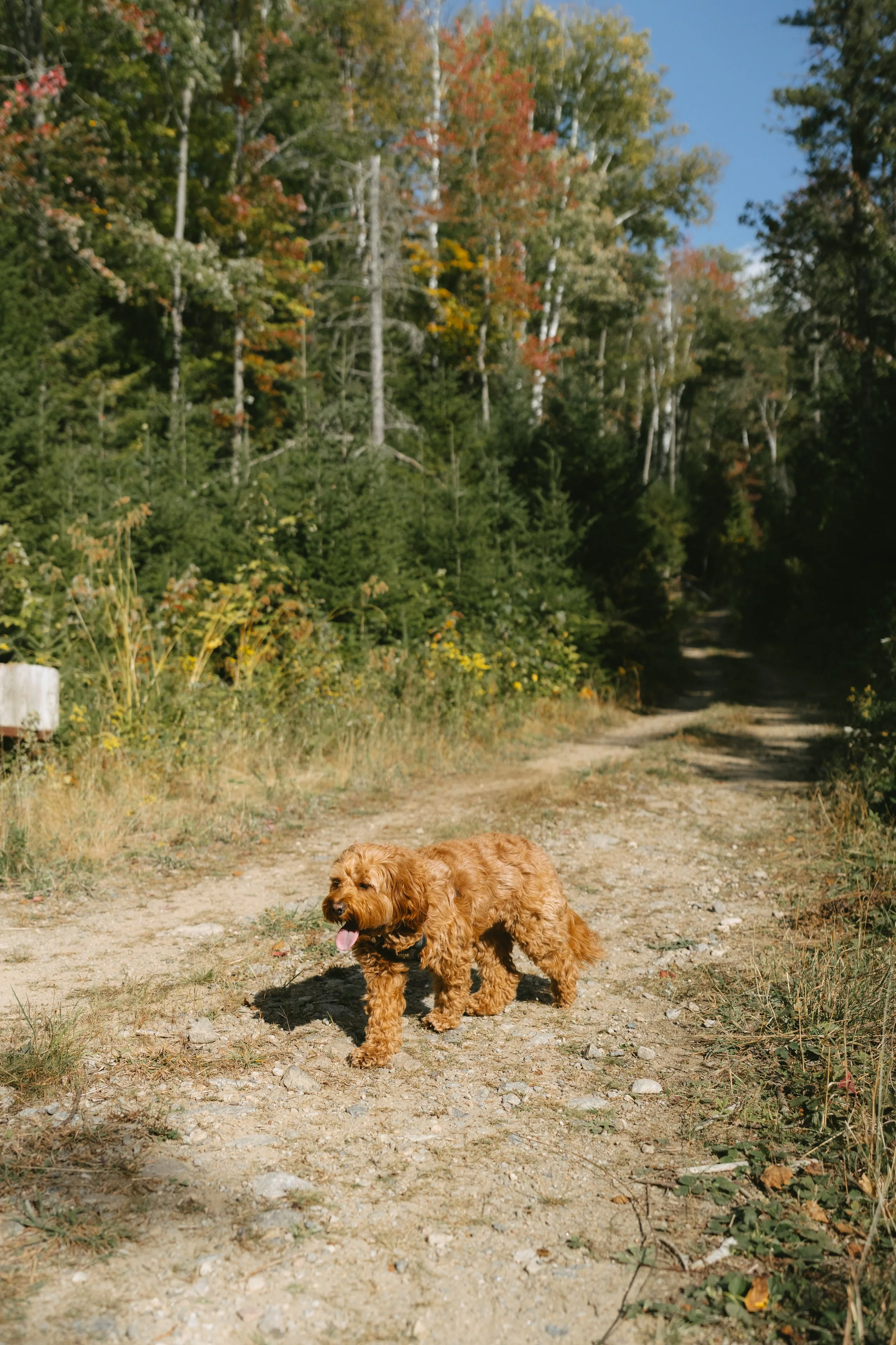 SniffSpot Saint-Adolphe-D_Howard_09-2025-19.jpg