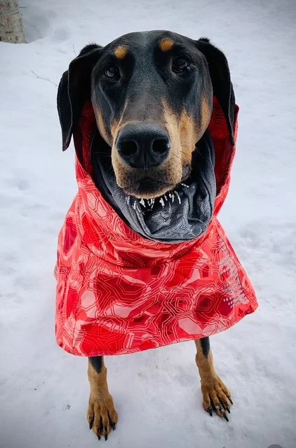 Maëlly - 10 ans 3 mois