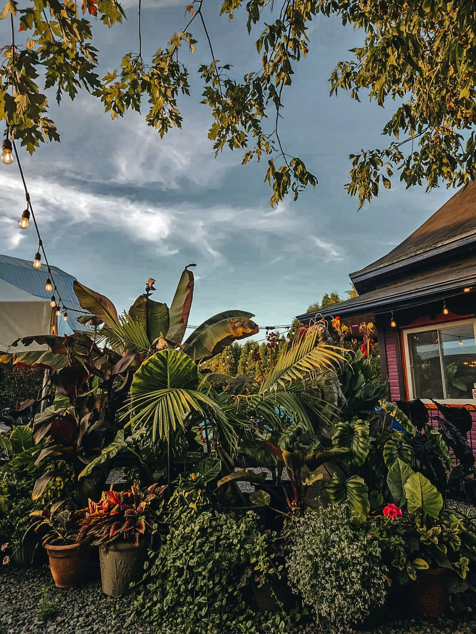86319472-b1ae-4a6f-aeff-884eef260e0f.jpeg