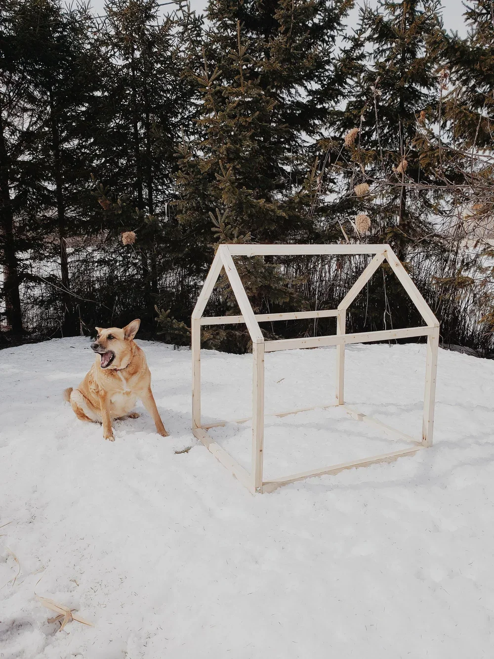 DIY maison minimaliste pour chien