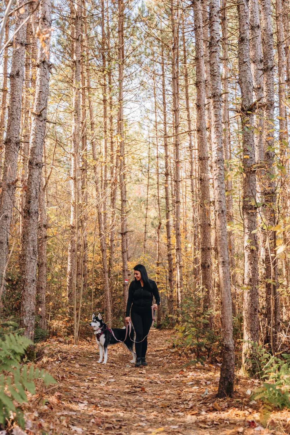 hereford_onvasepromener 148.jpg