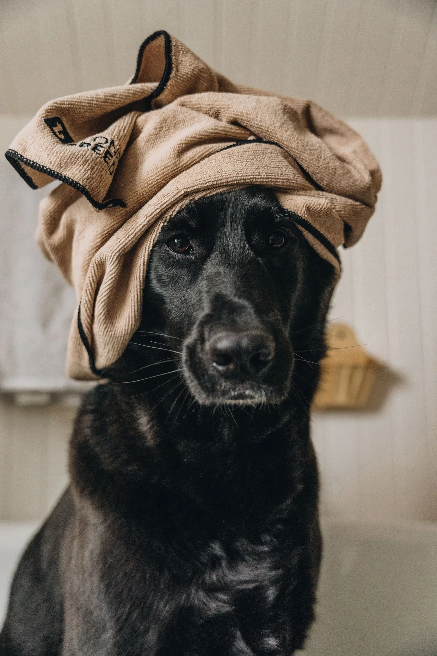 TUX_Mondou+(24) (1).webp