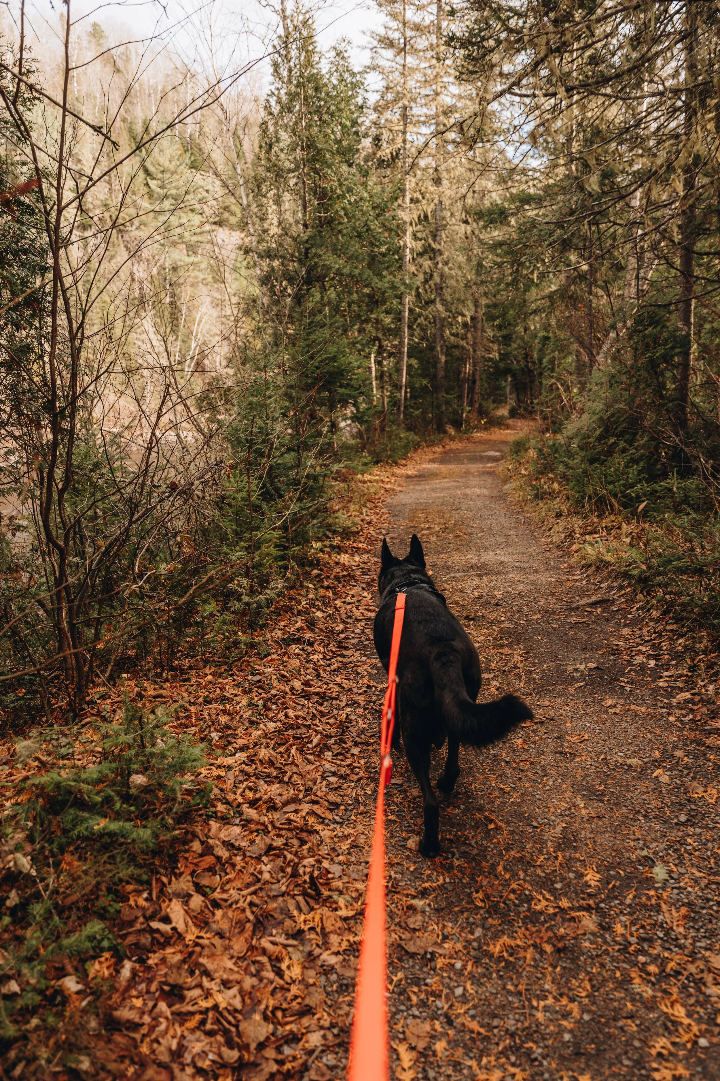 sentier petit saguenay 11.jpg