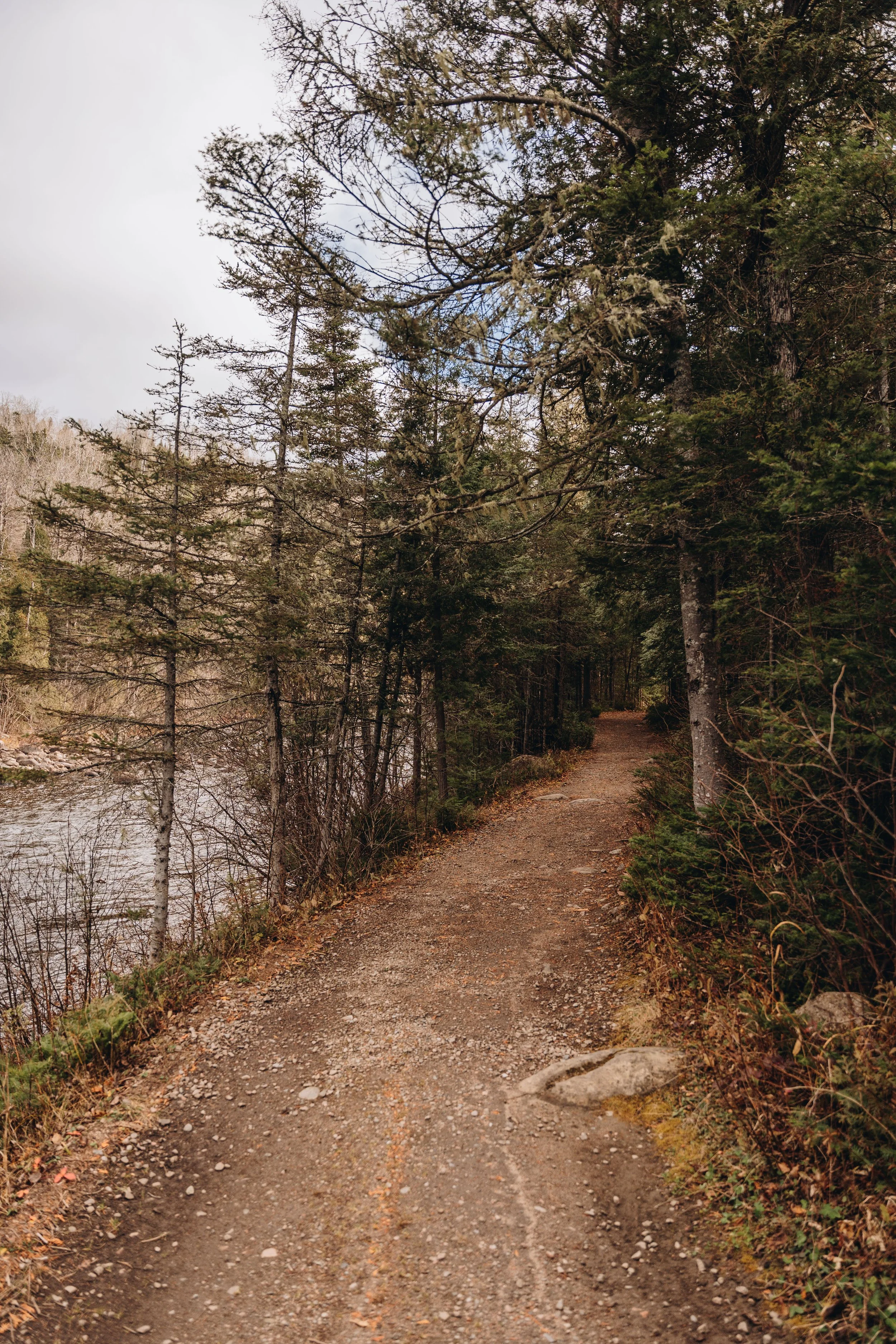 sentier petit saguenay 9.jpg