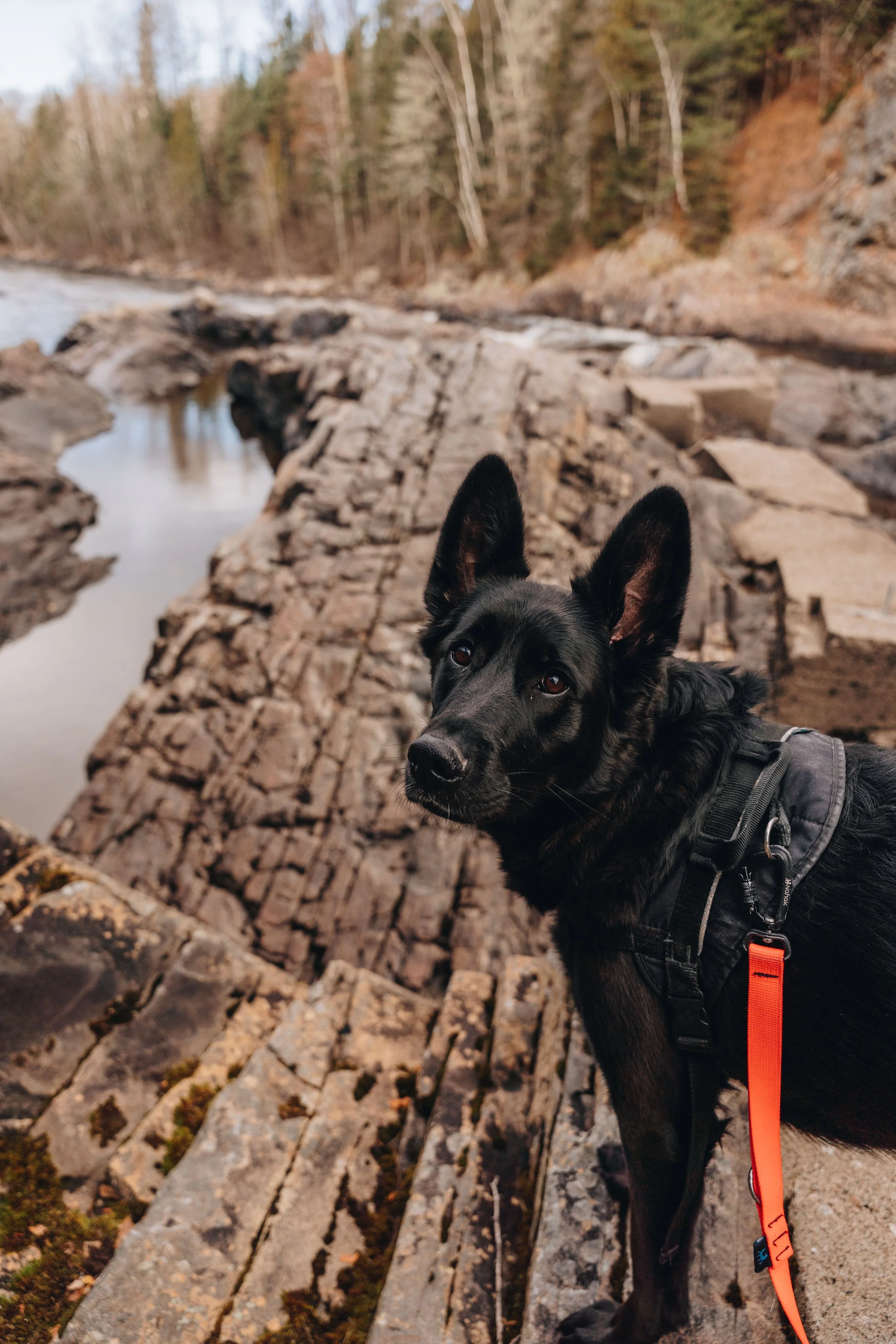 sentier petit saguenay 21.jpg