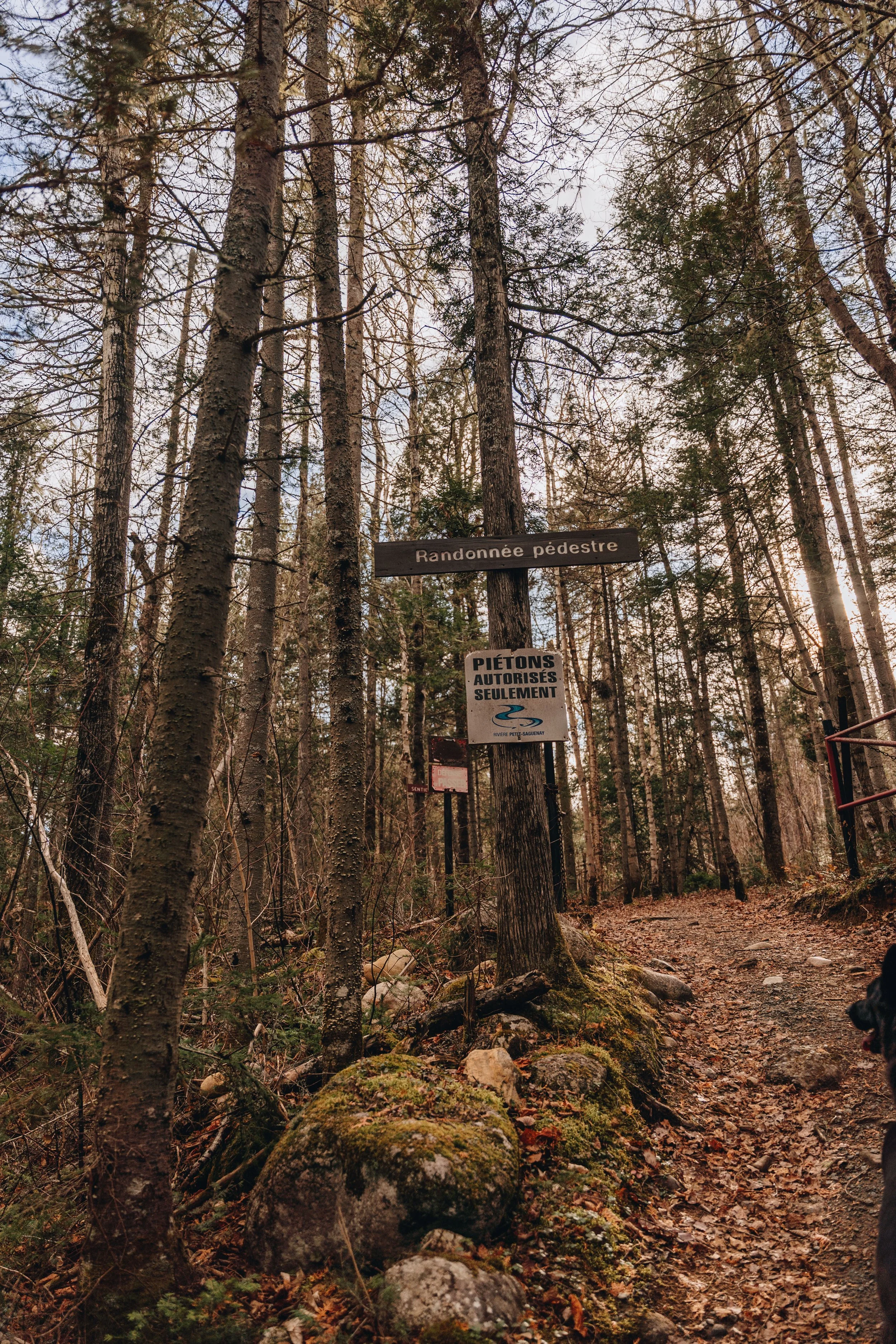 sentier petit saguenay 17.jpg