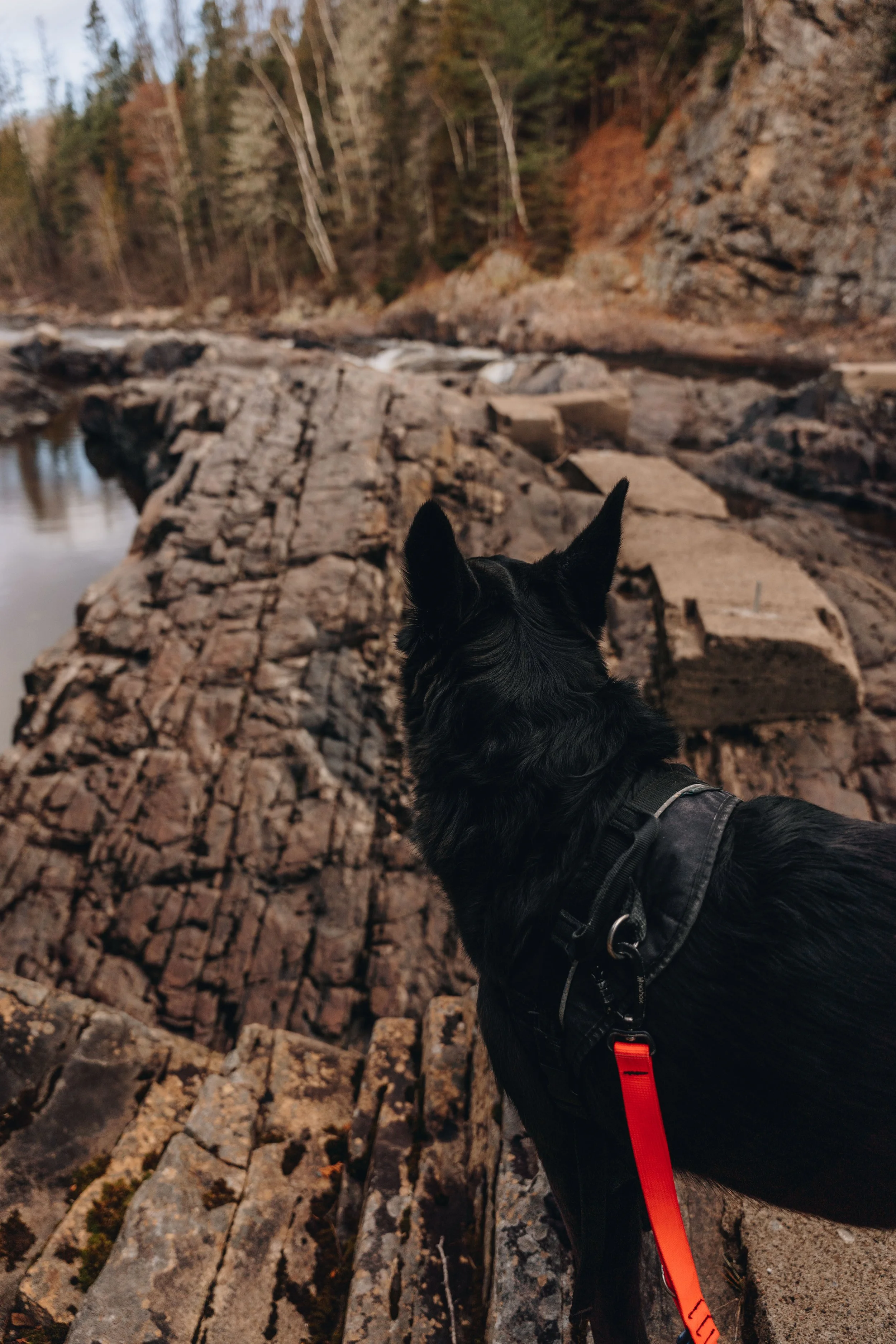 sentier petit saguenay 20.jpg