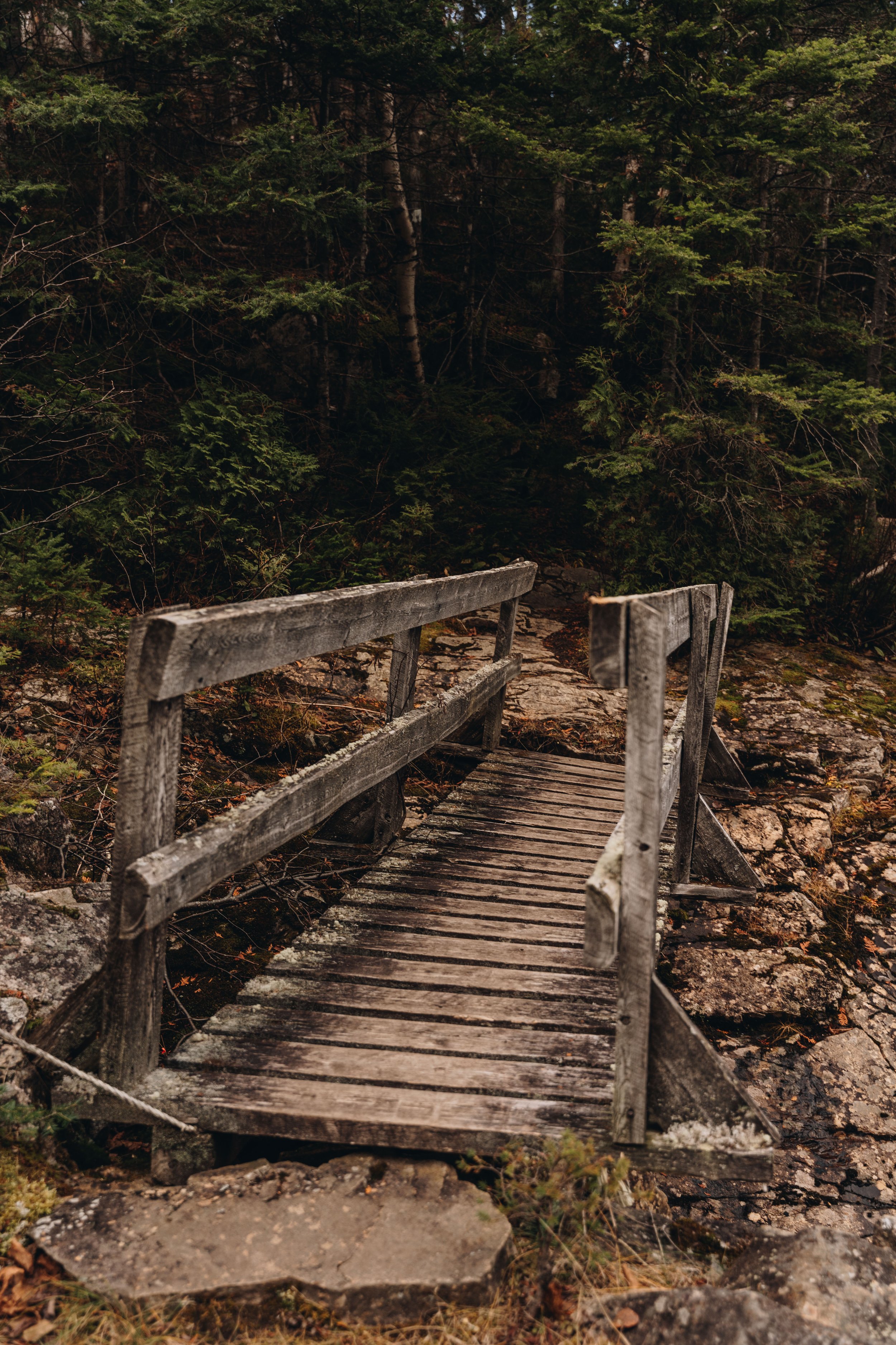 sentier petit saguenay 22.jpg