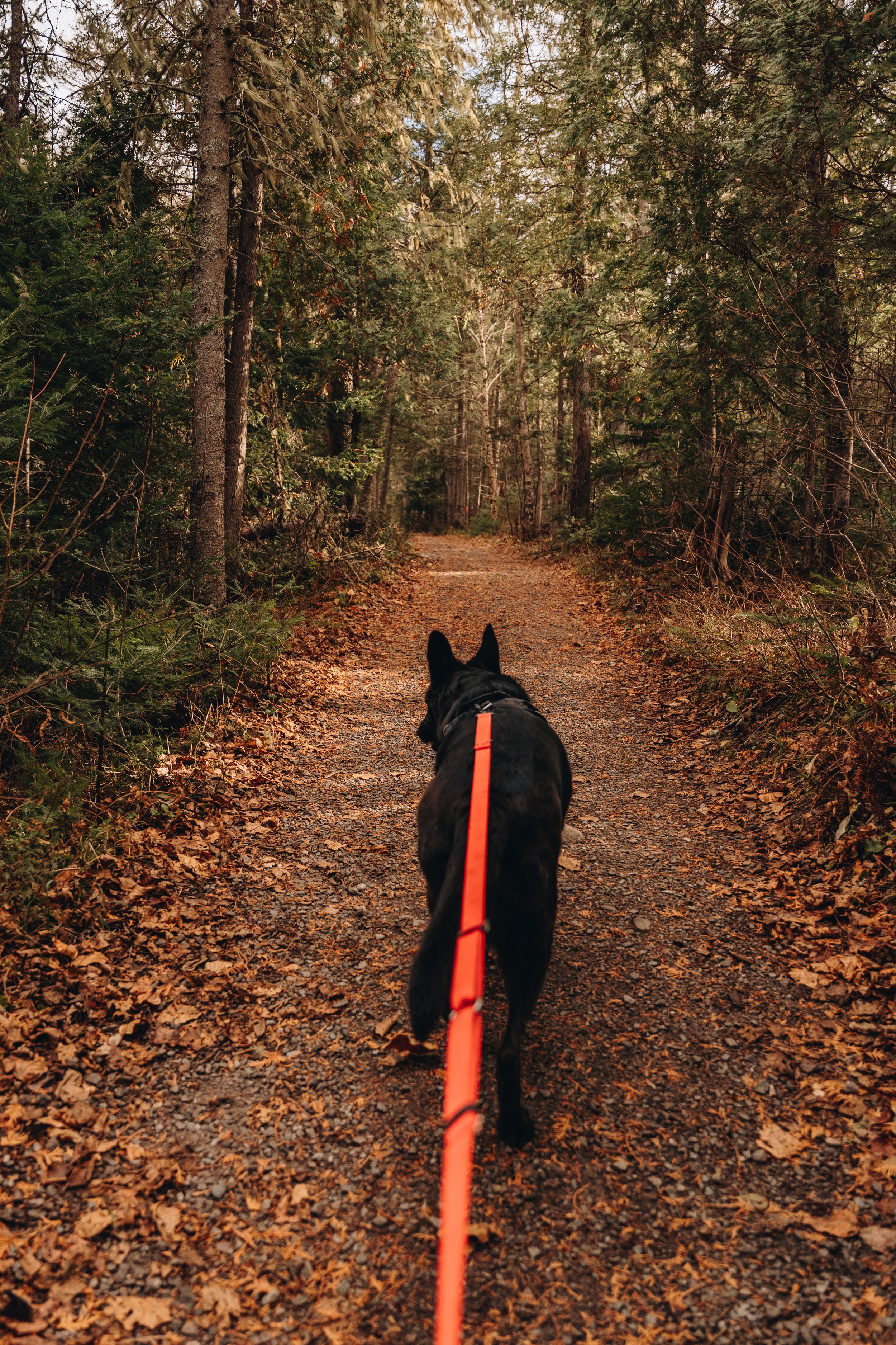 sentier petit saguenay 10.jpg