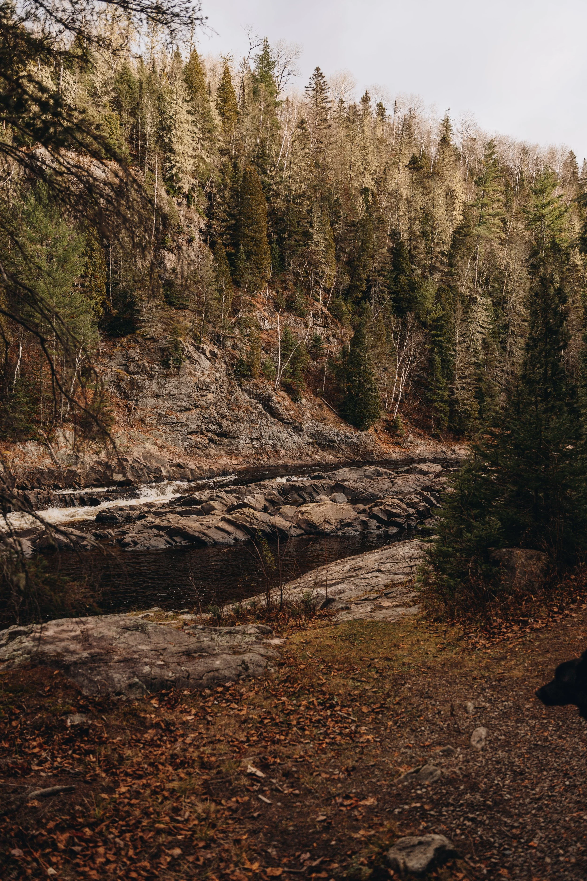 sentier petit saguenay 15.jpg