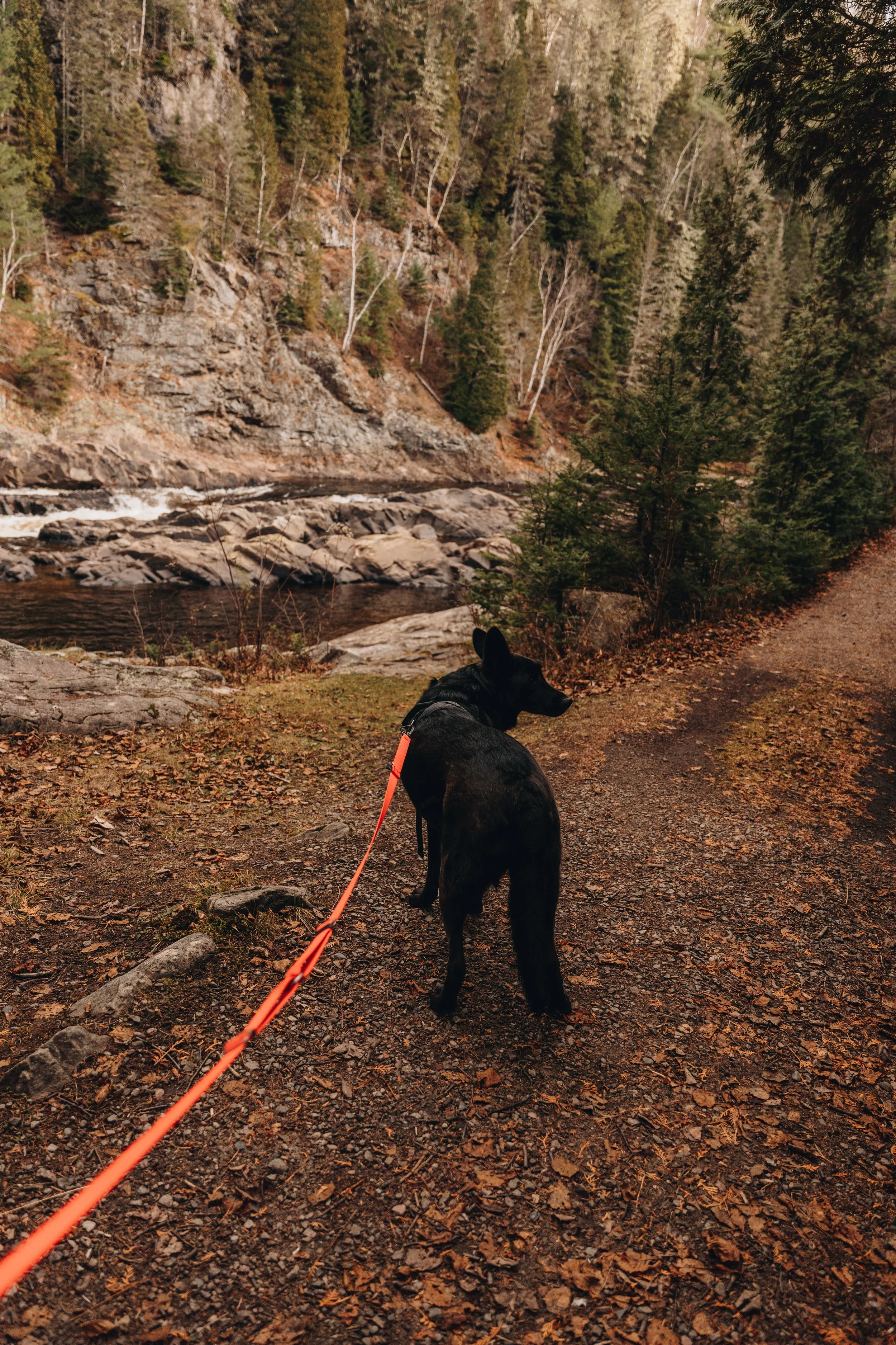 sentier petit saguenay 16.jpg