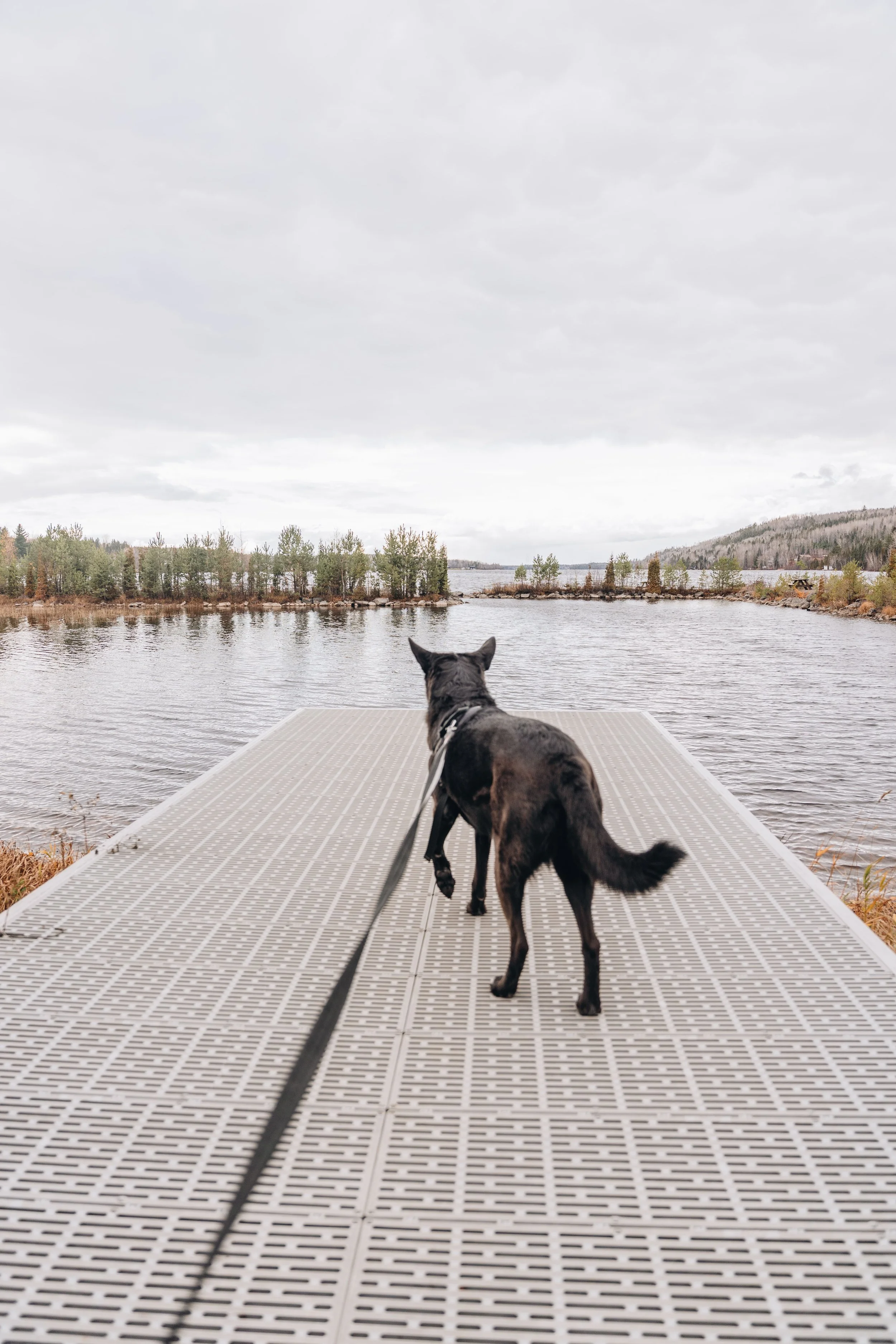[Sag-Lac, Saint-Félix-d'Otis] Halte Municipale 1.jpg