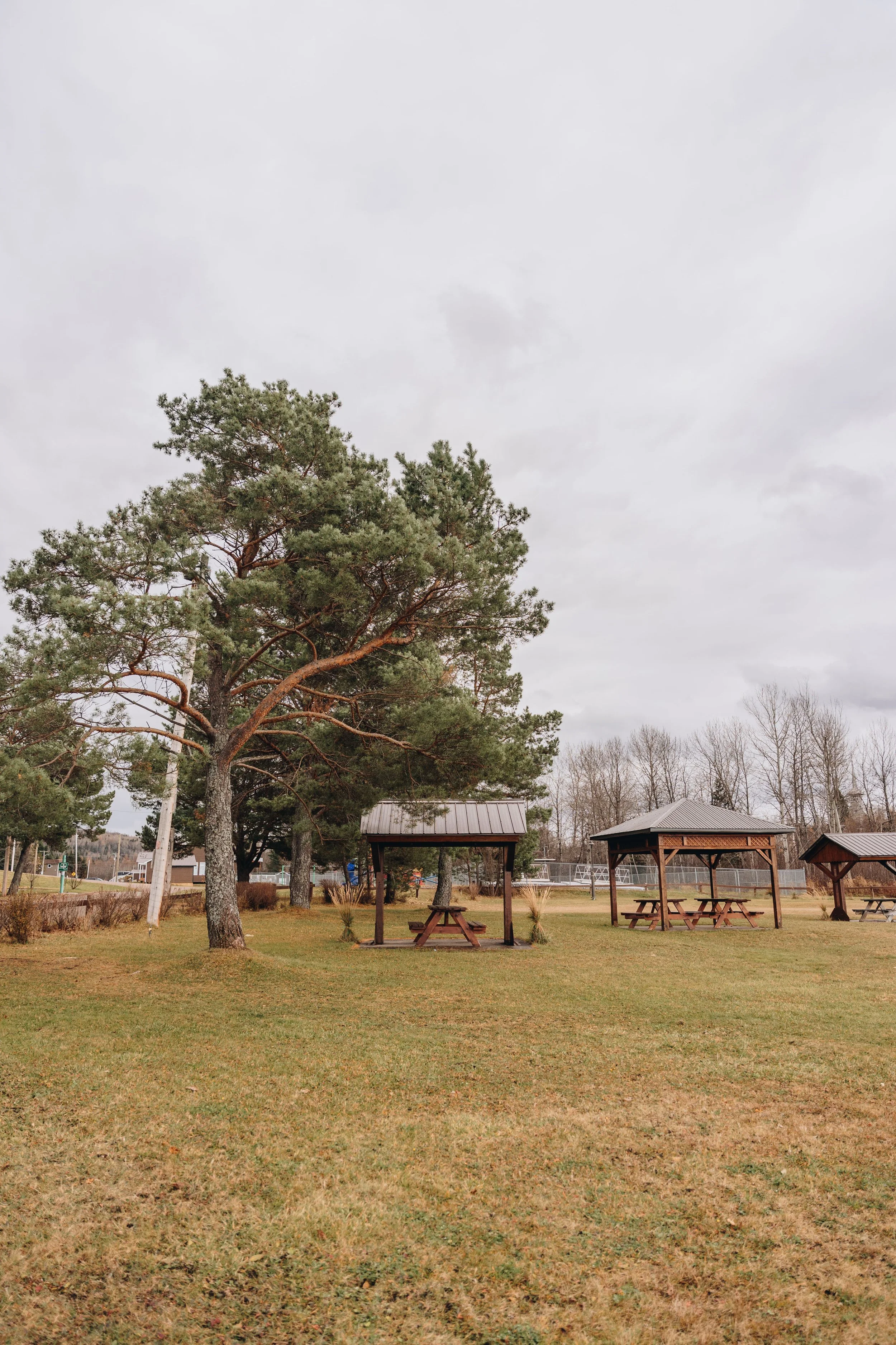 [Sag-Lac, Saint-Félix-d'Otis] Halte Municipale 11.jpg