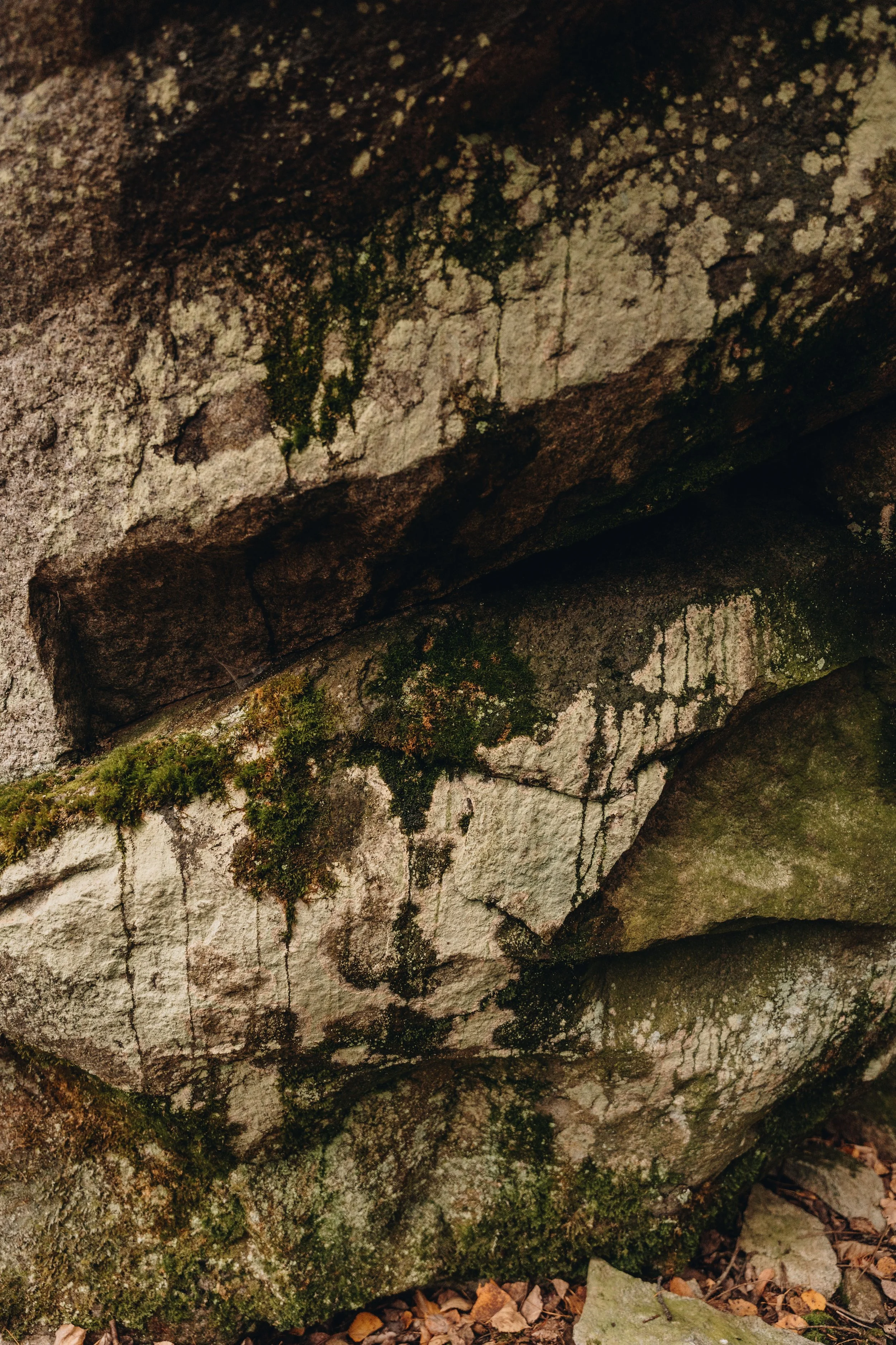 sentier de la digue 10.jpg