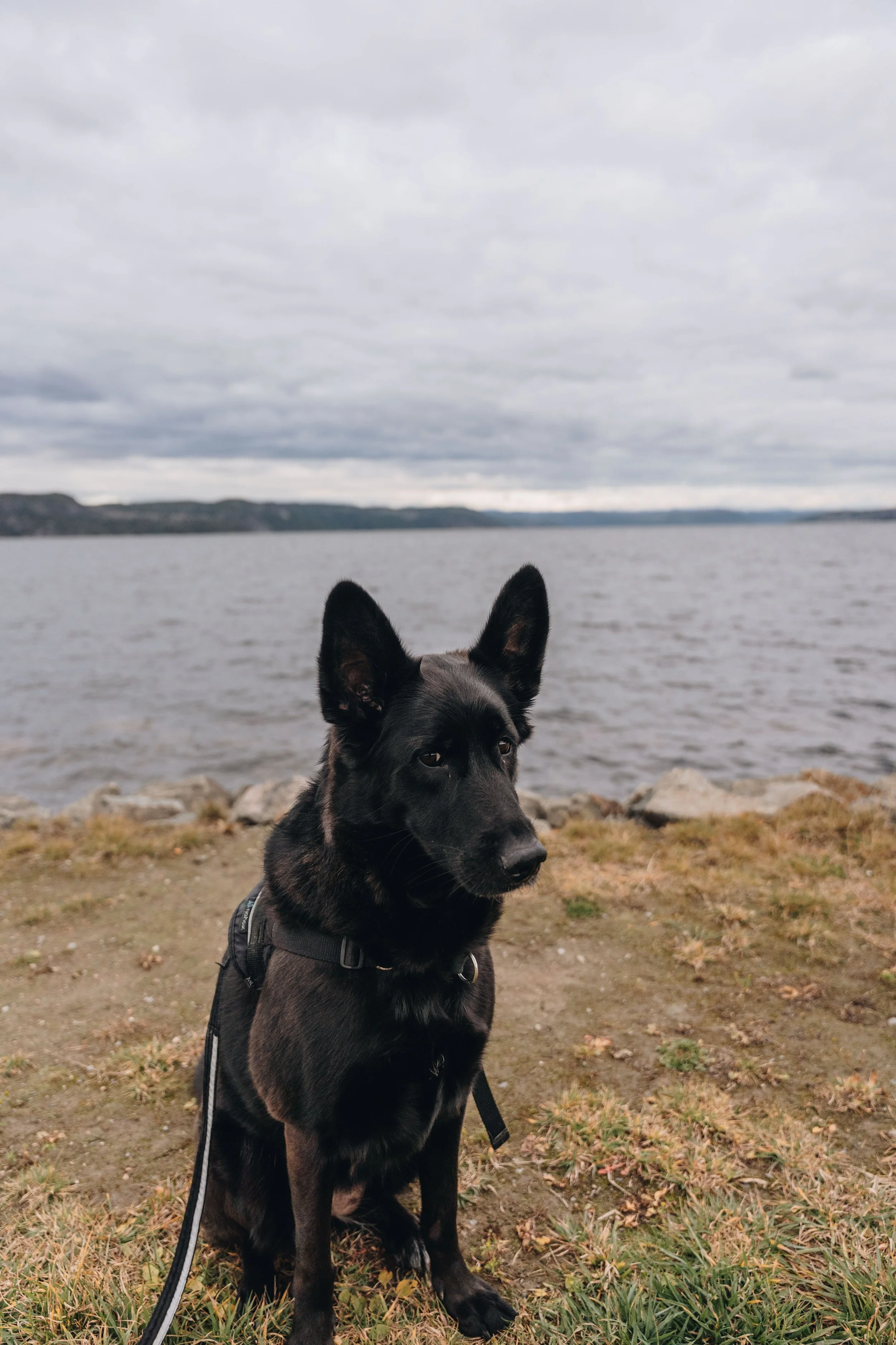 plage de la baie 4.jpg