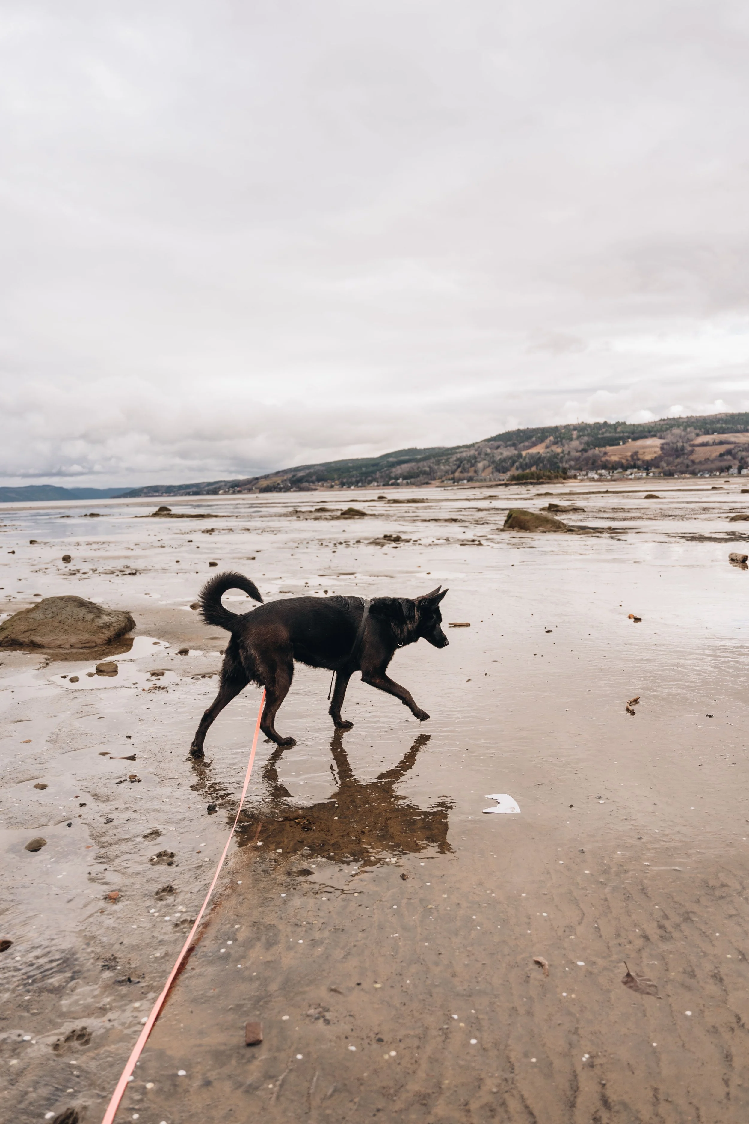 plage de la baie 2 5.jpg