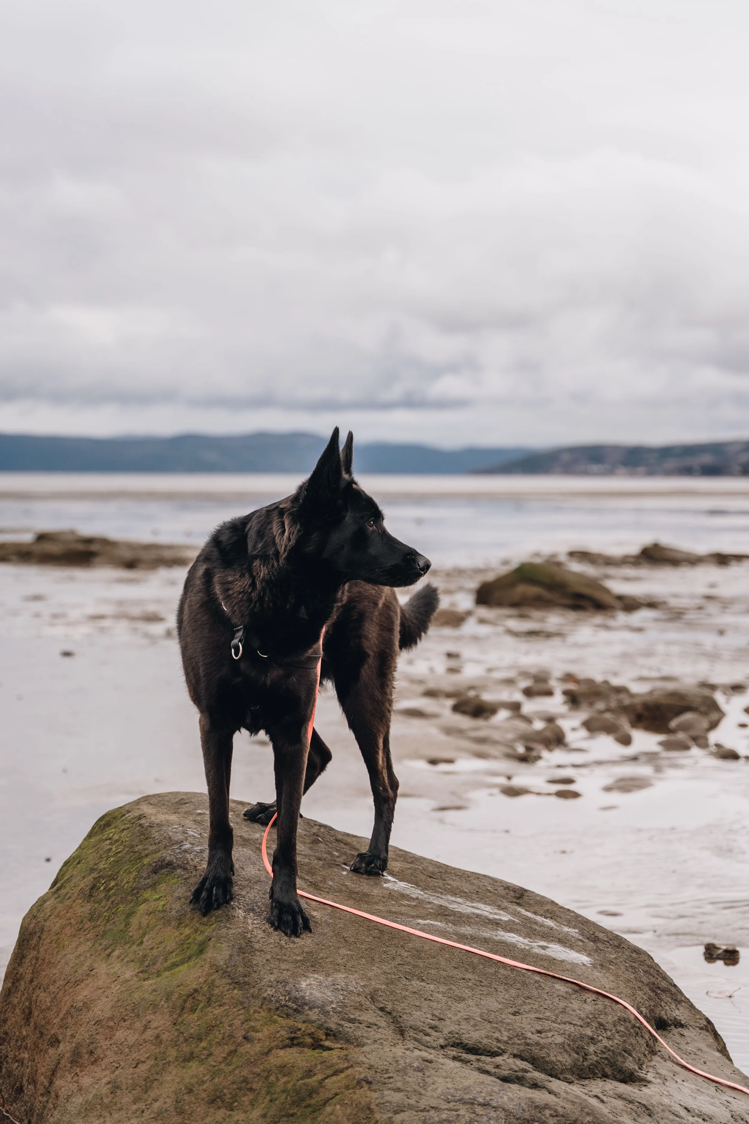 plage de la baie 2 6.jpg