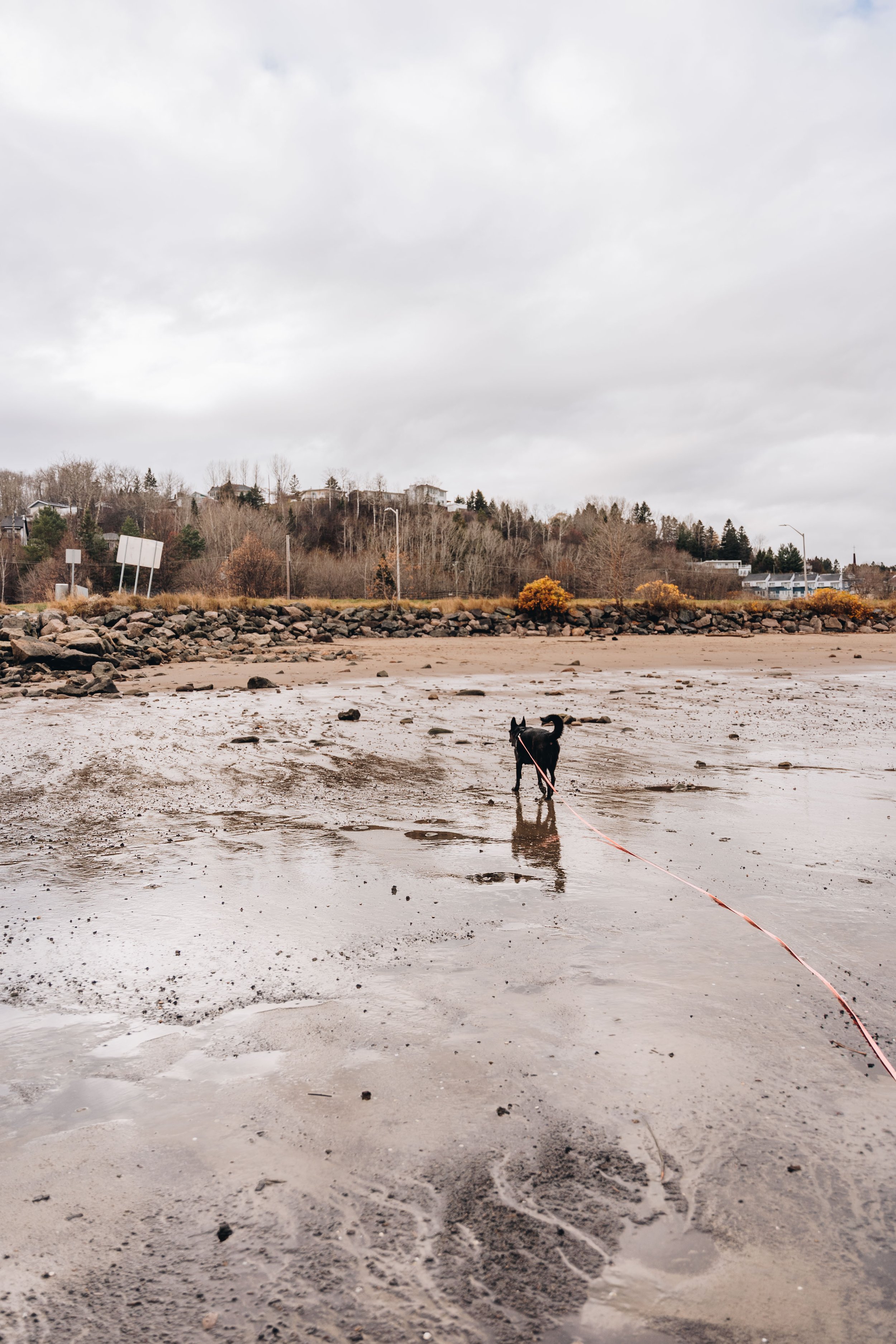 plage de la baie 2 9.jpg