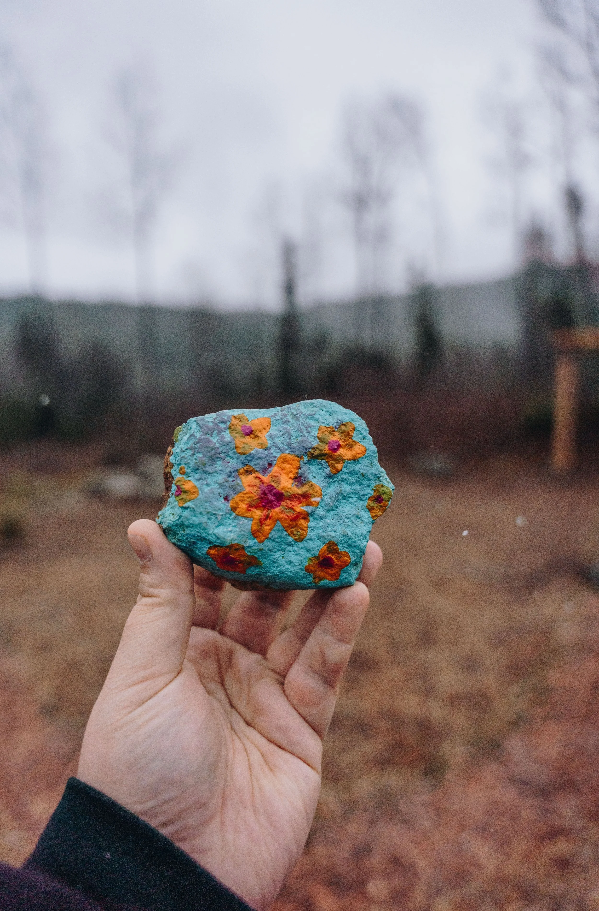 onvasepromener_champlibre 128.jpg