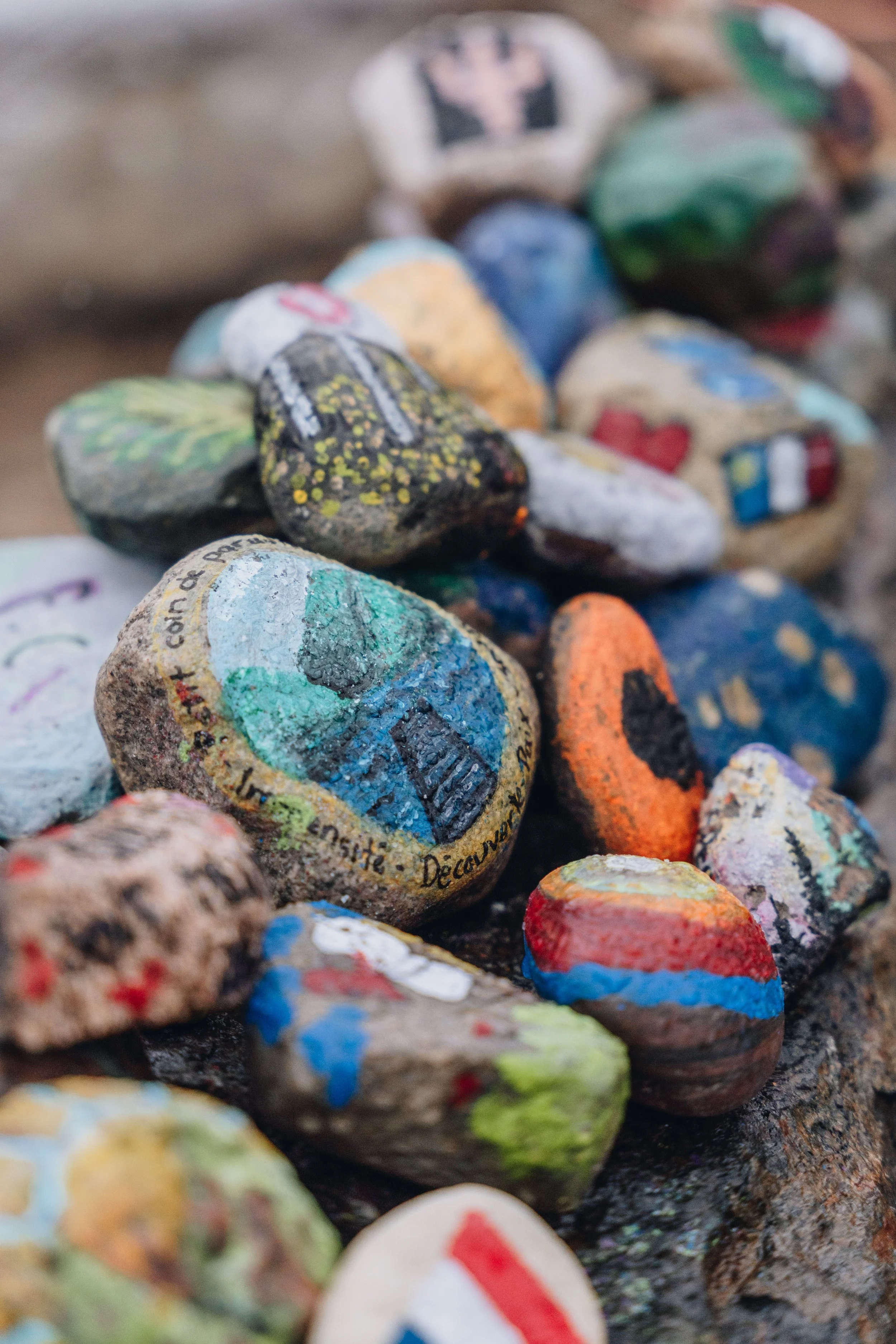 onvasepromener_champlibre 136.jpg