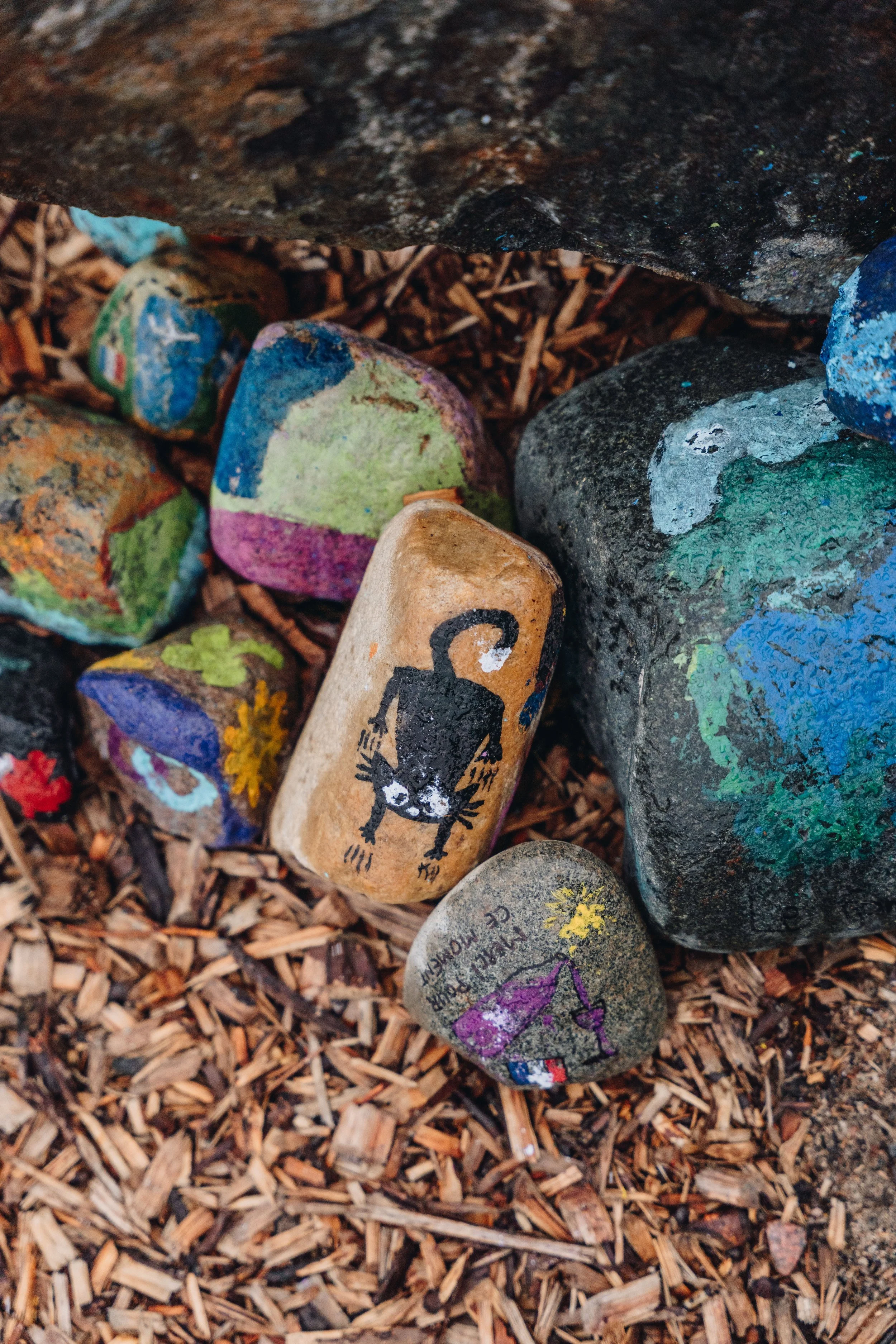 onvasepromener_champlibre 135.jpg