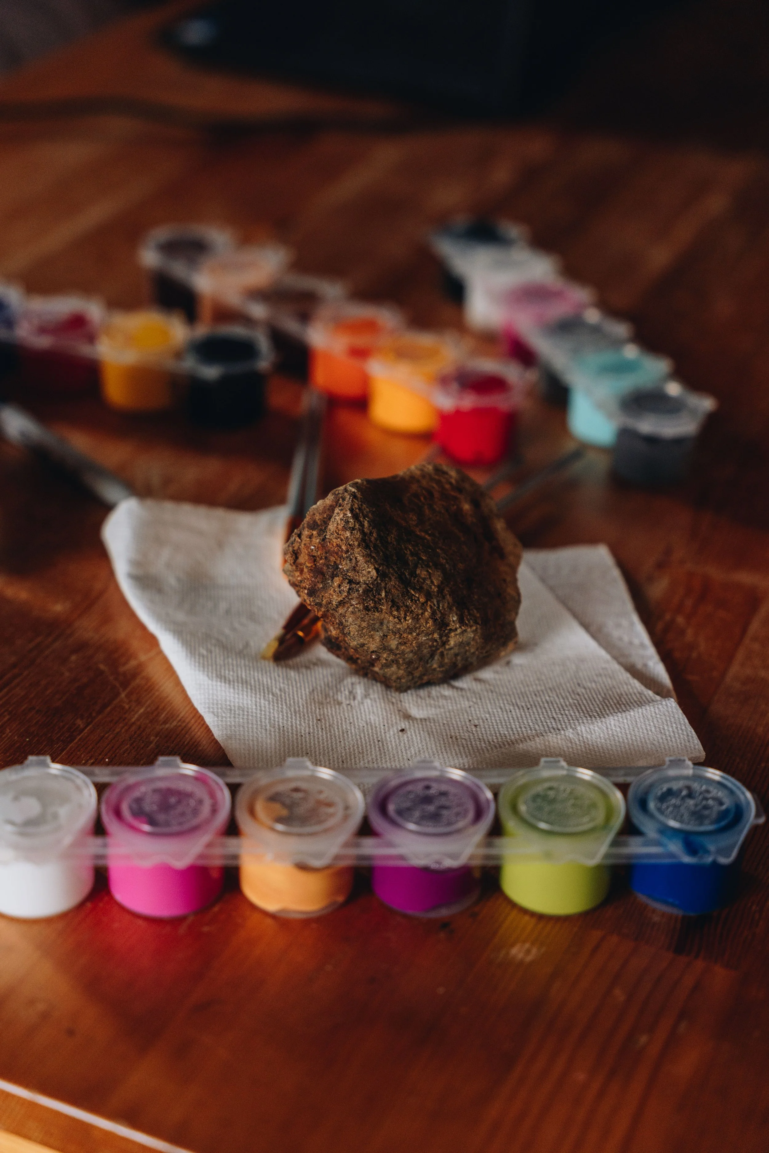 onvasepromener_champlibre 55.jpg