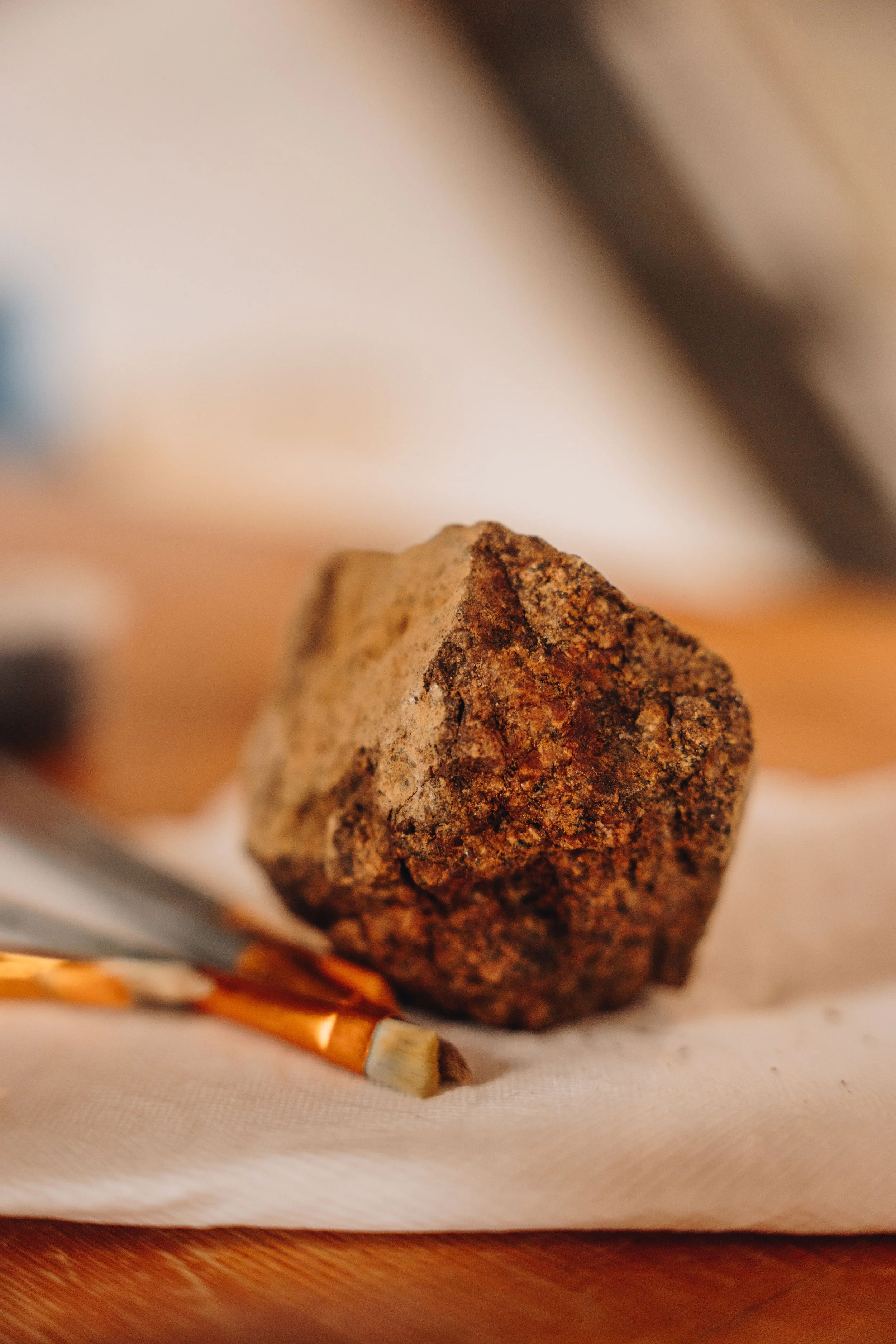 onvasepromener_champlibre 59.jpg