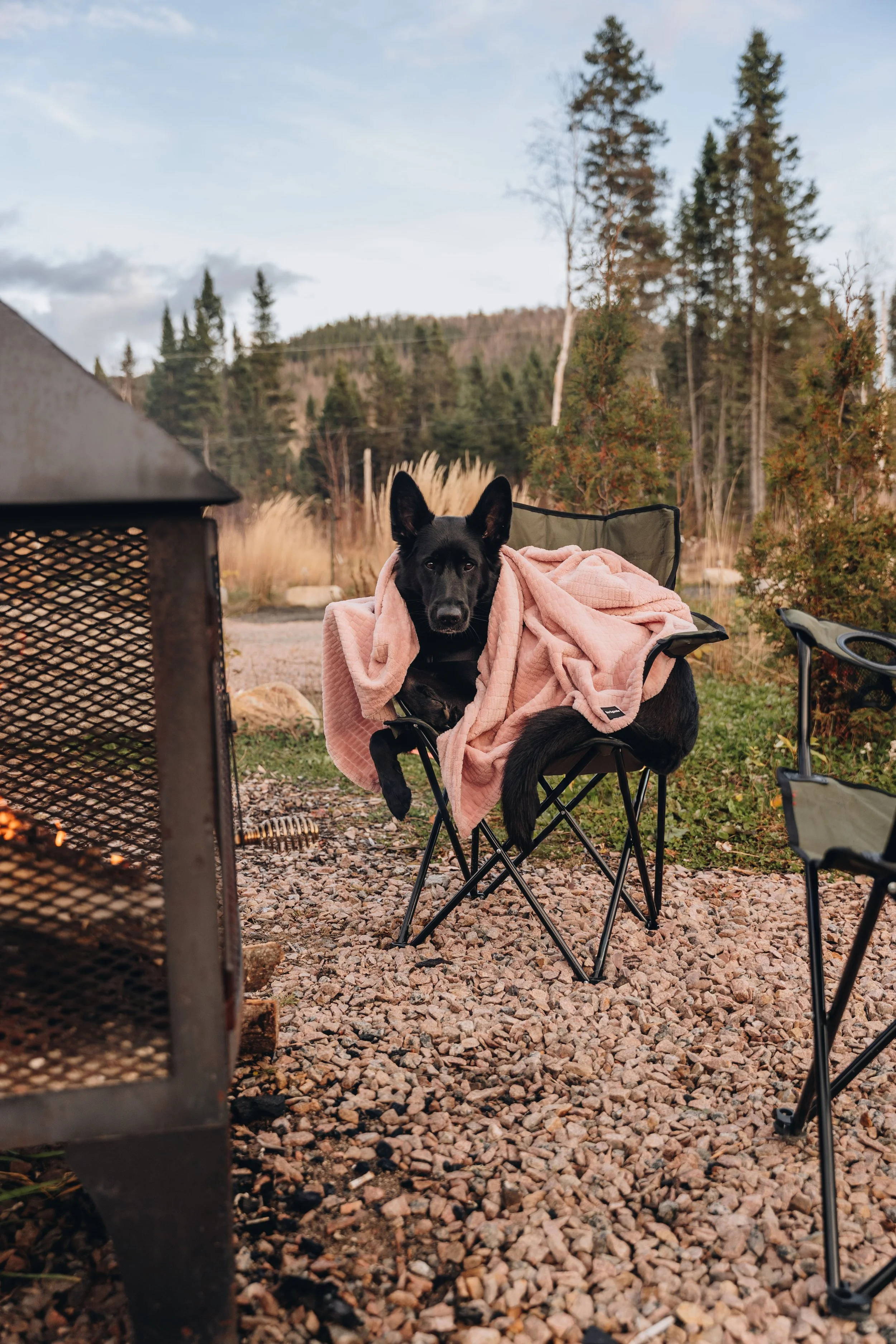 onvasepromener_champlibre 98.jpg