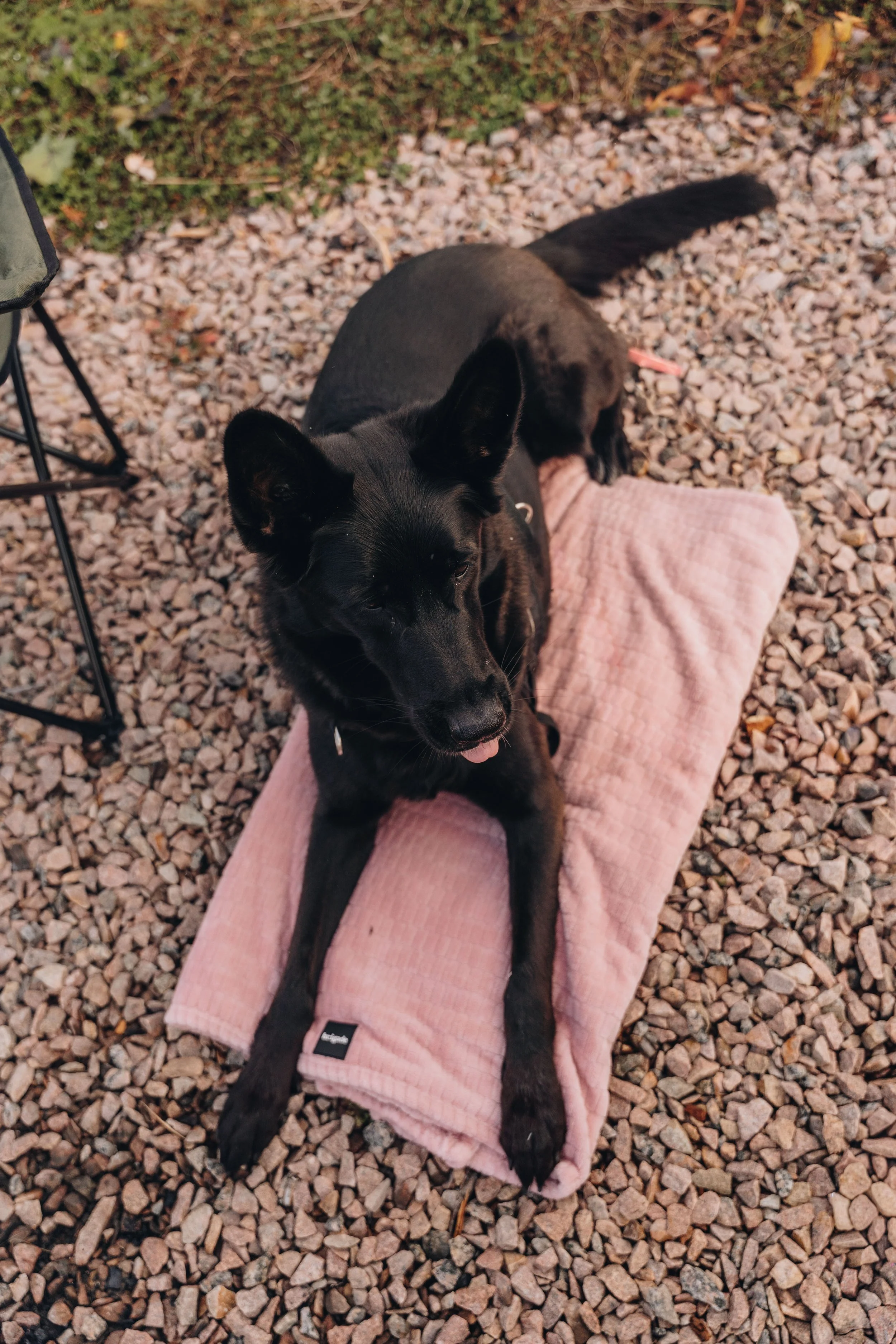 onvasepromener_champlibre 109.jpg