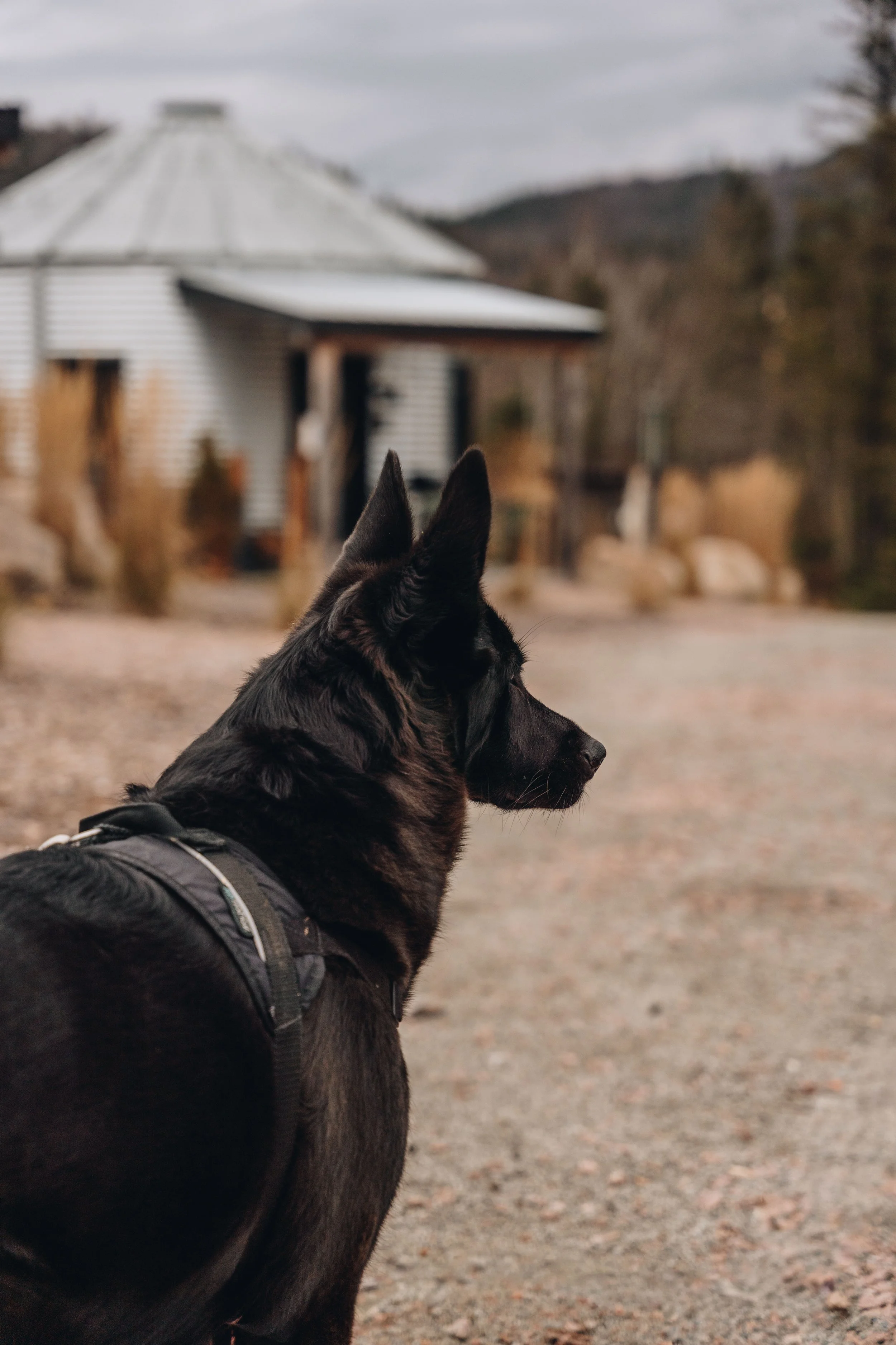 onvasepromener_champlibre 40.jpg