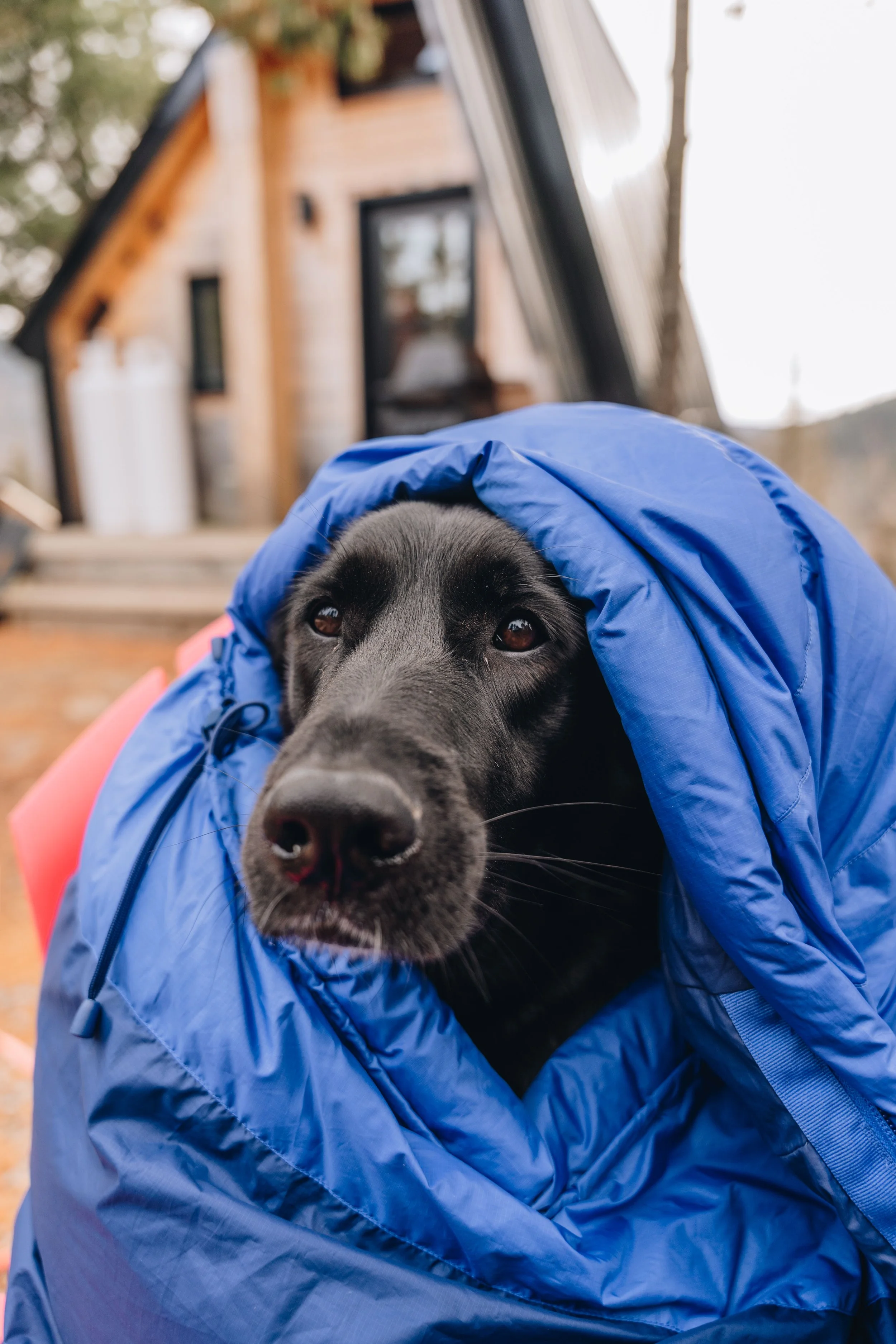 la normande_cabananse 96.jpg