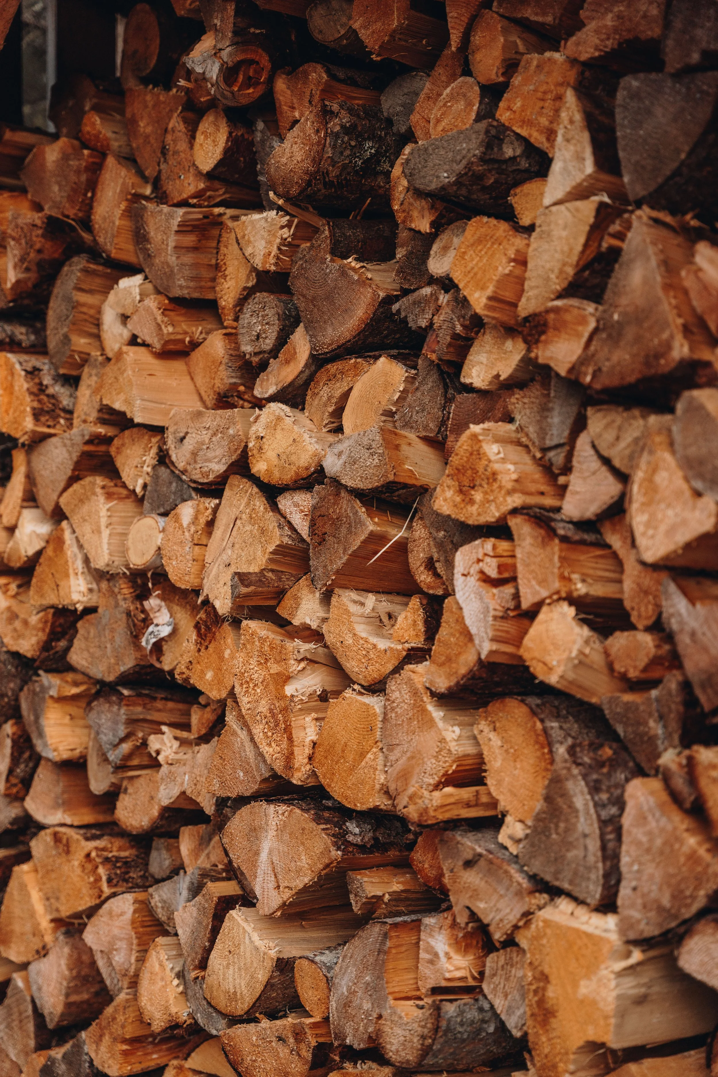 la normande_cabananse 81.jpg