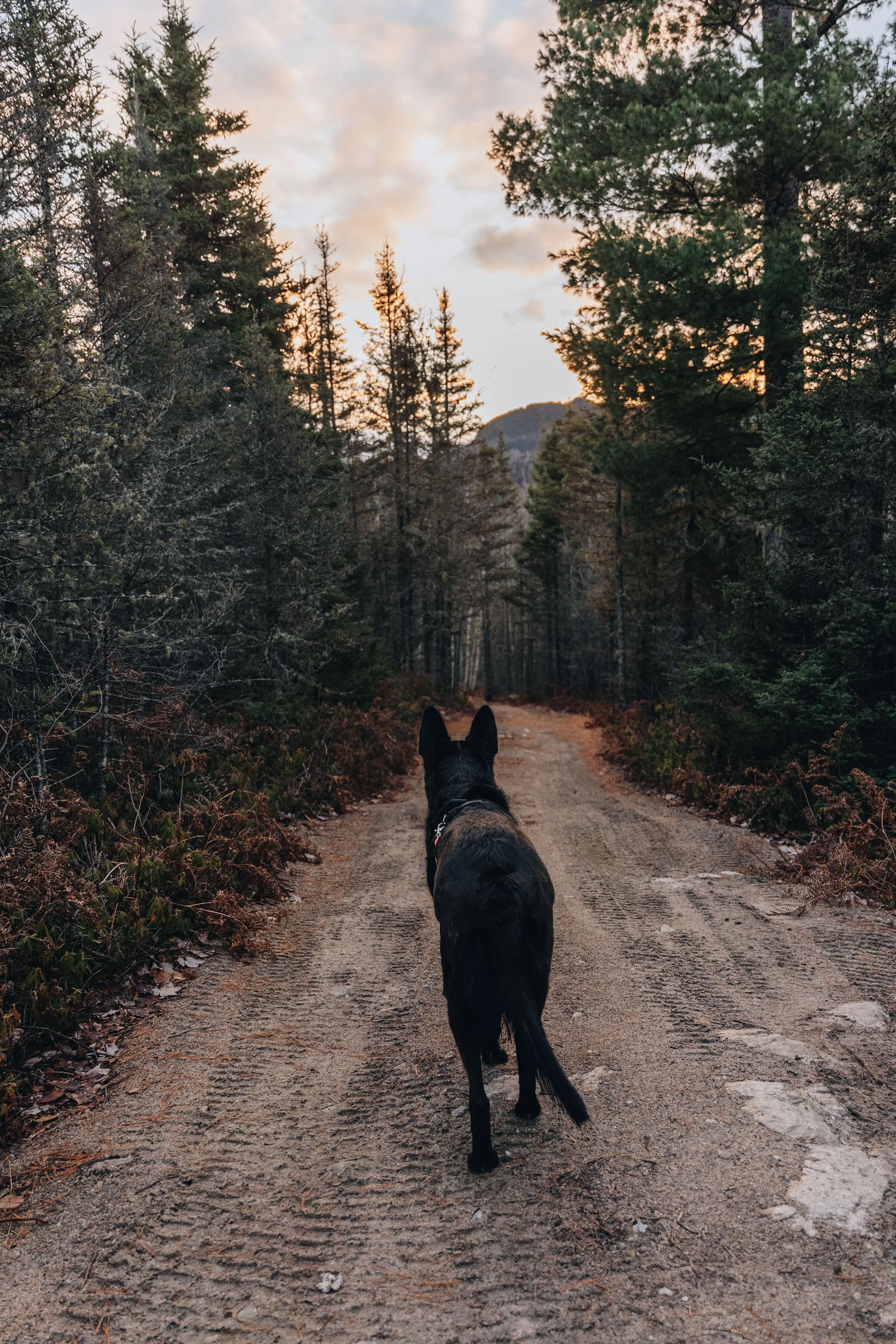 la normande_cabananse 37.jpg