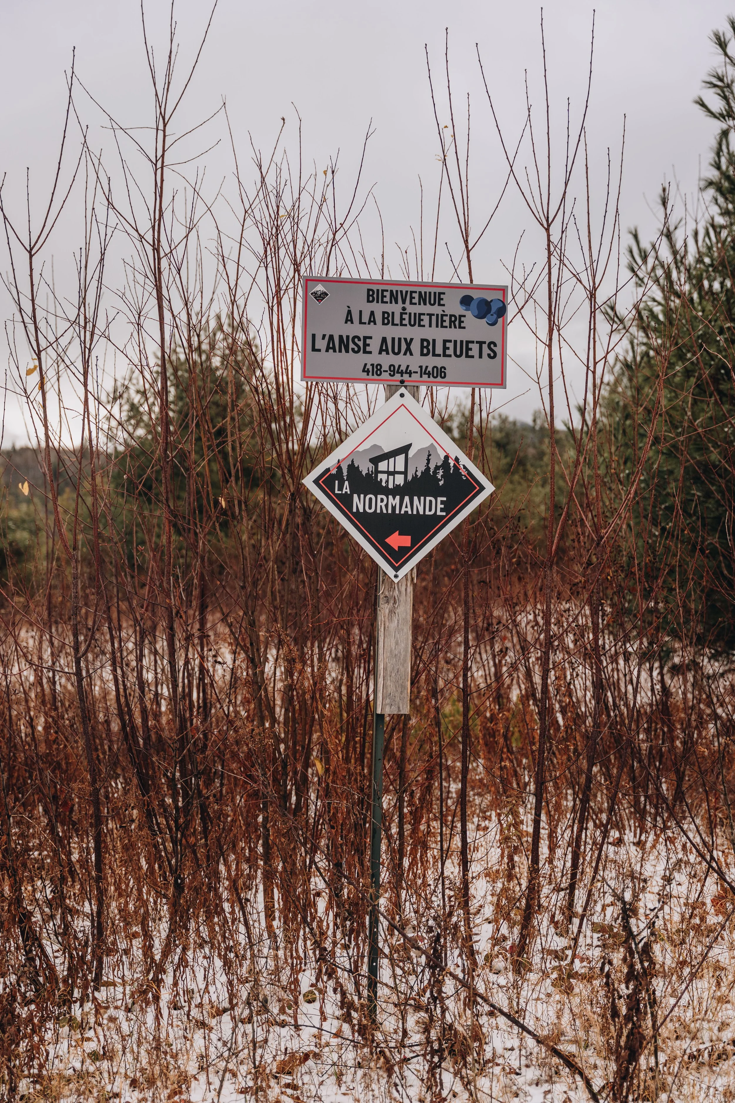 la normande_cabananse 203.jpg