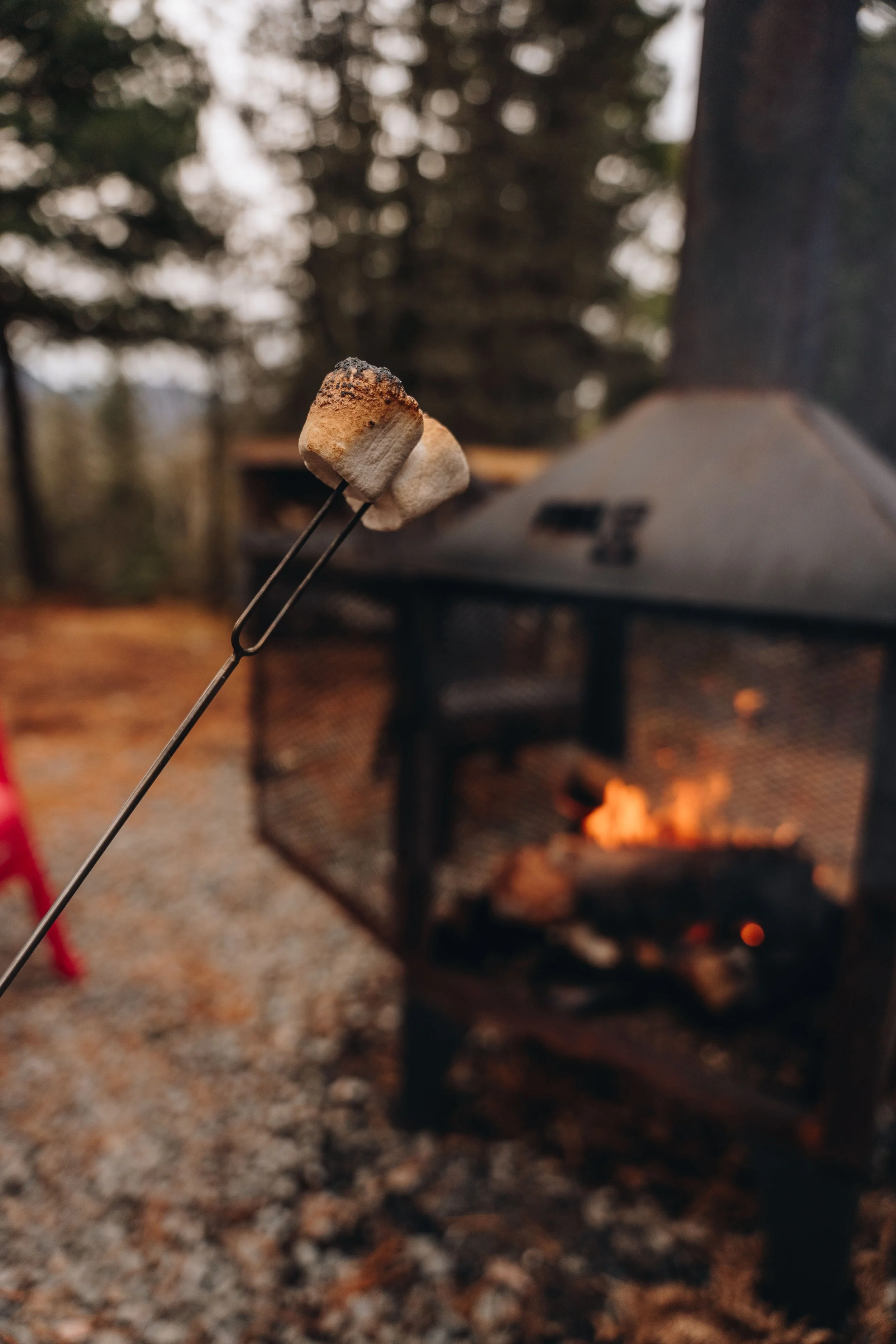 la normande_cabananse 117.jpg