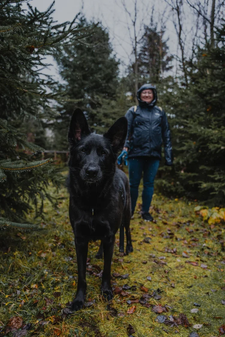 Survivre au mauvais temps avec son chien : pluie, neige et slush!