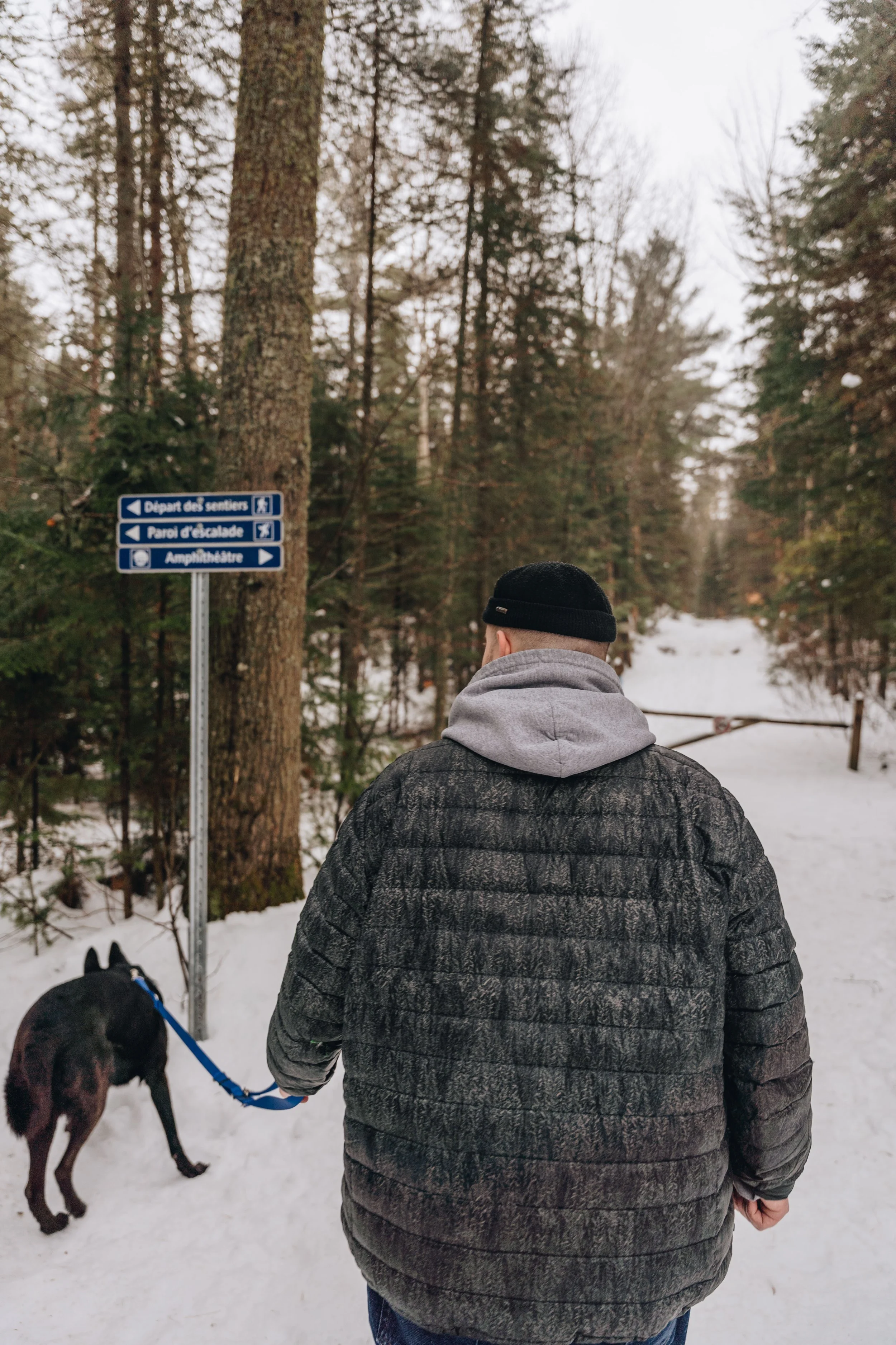 Parc récréoforestier Saint-Mathieu onvasepromener 3.jpg
