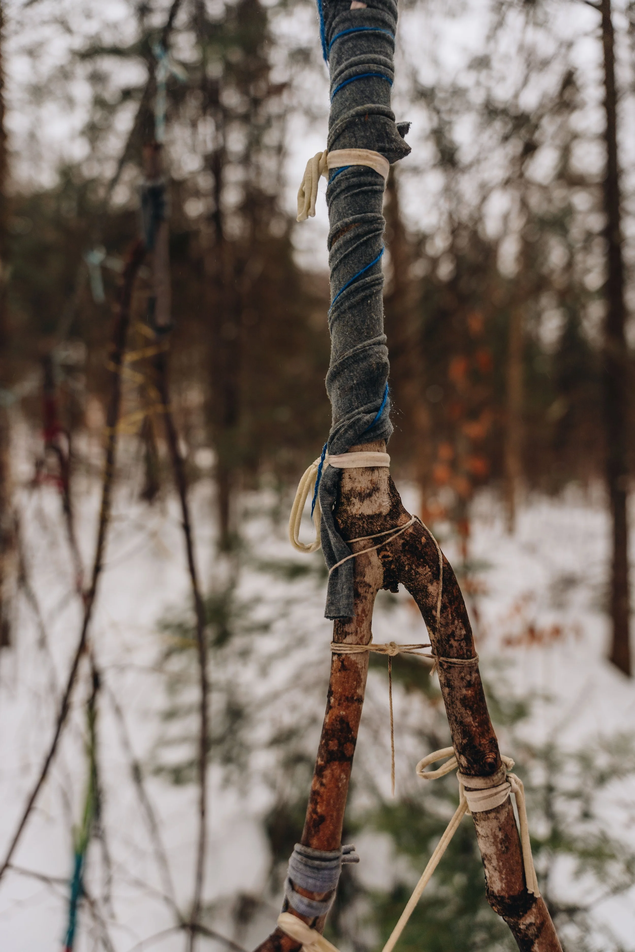 Parc récréoforestier Saint-Mathieu onvasepromener 6.jpg