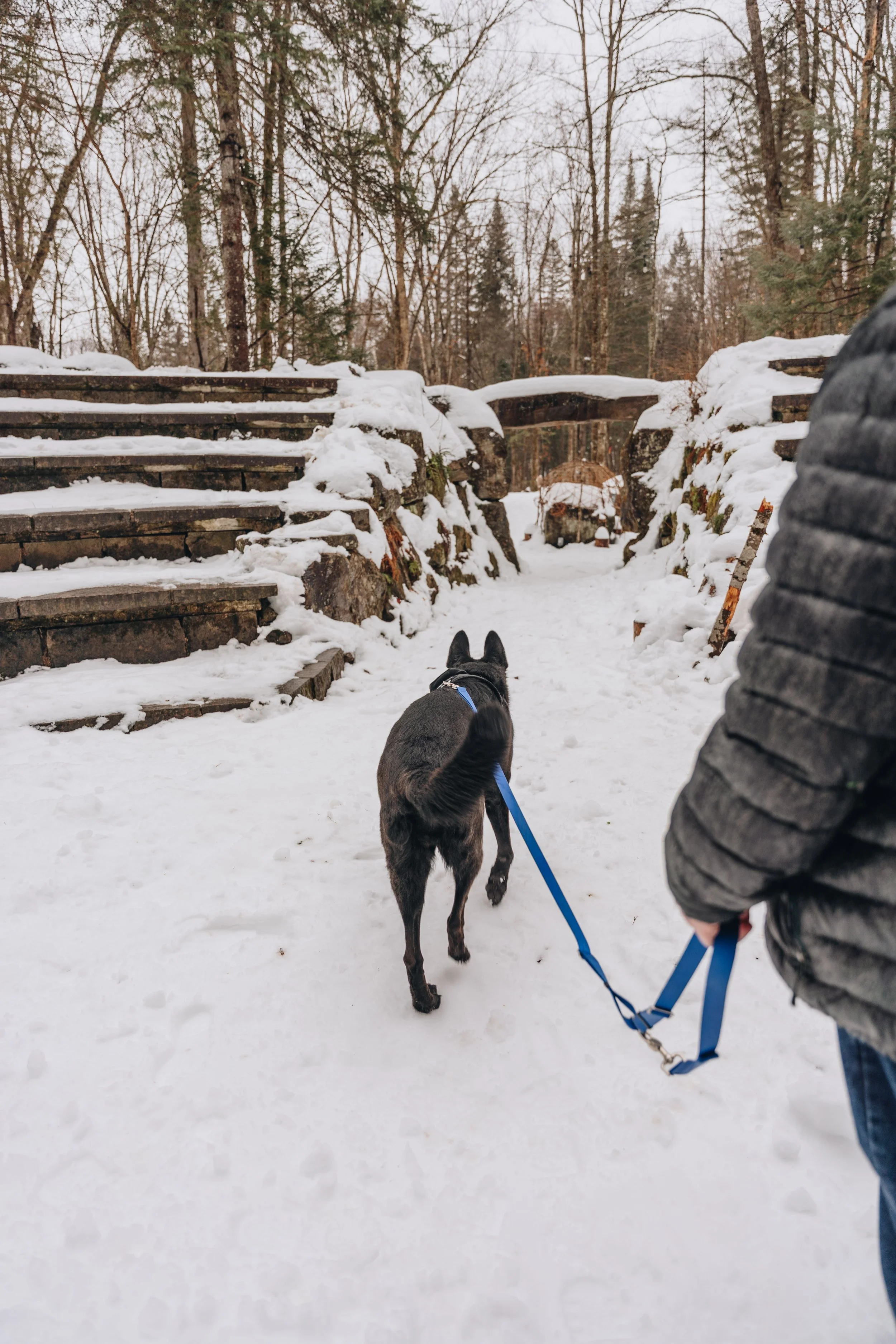 Parc récréoforestier Saint-Mathieu onvasepromener 9.jpg