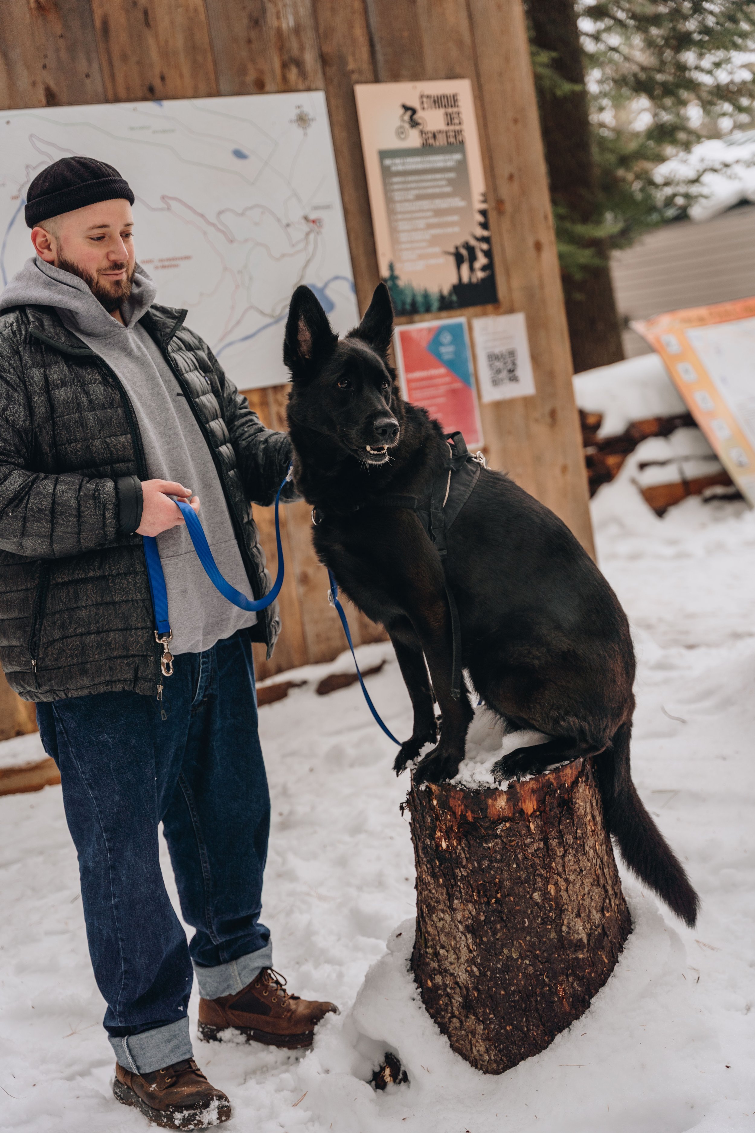 Parc récréoforestier Saint-Mathieu onvasepromener 16.jpg